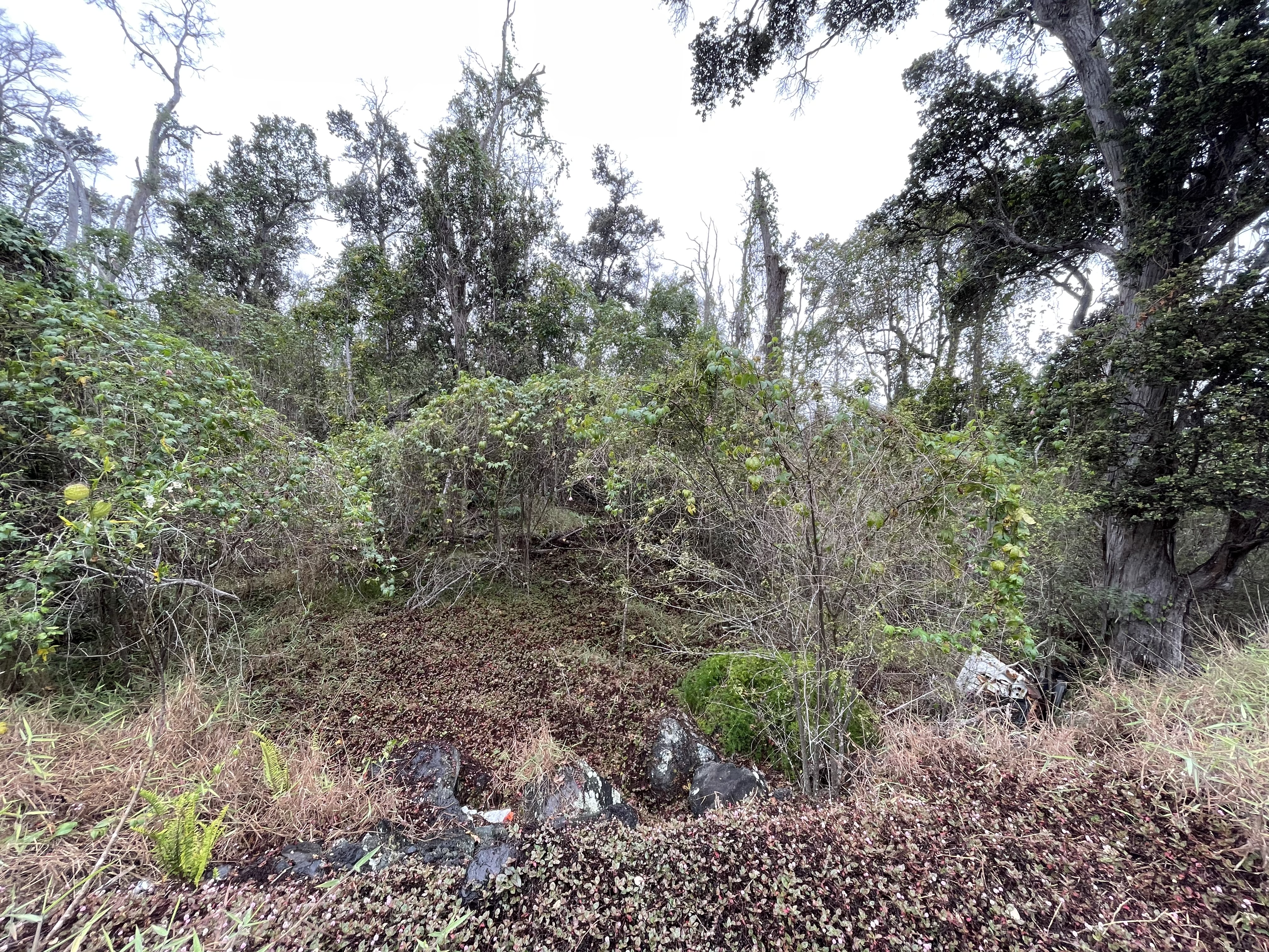 Mahimahi Dr Property Photo 11