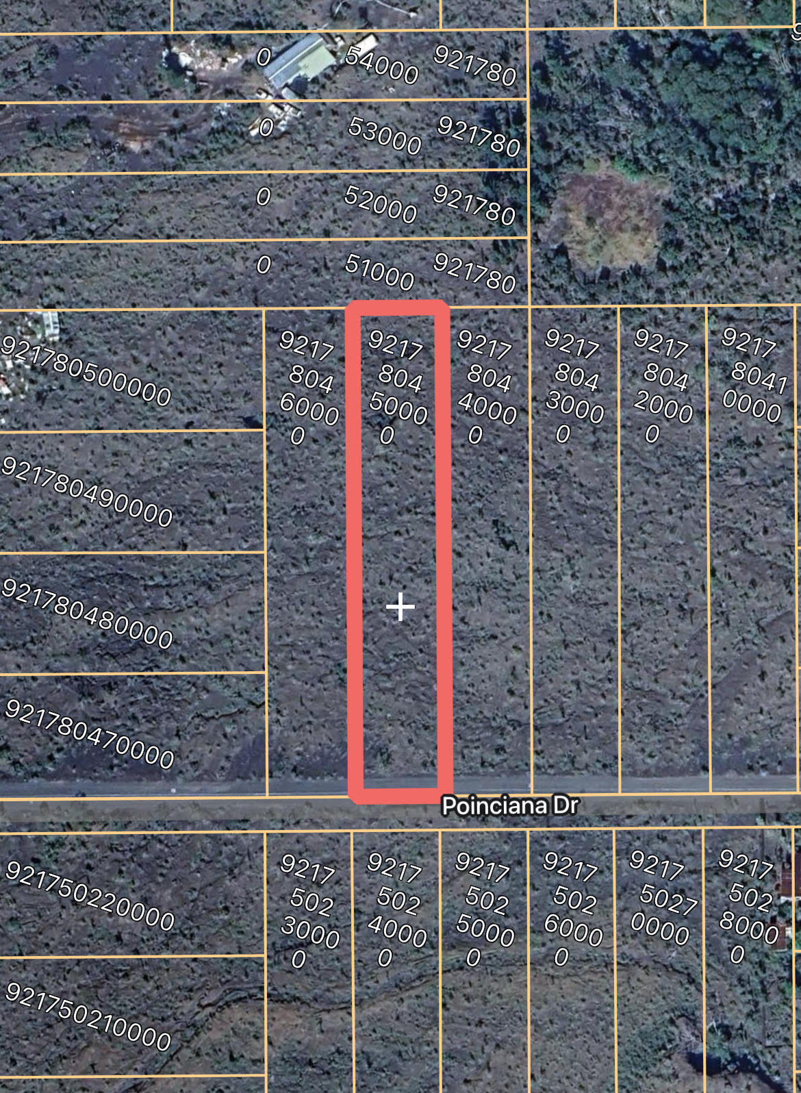 Poinciana Dr Property Photo 8