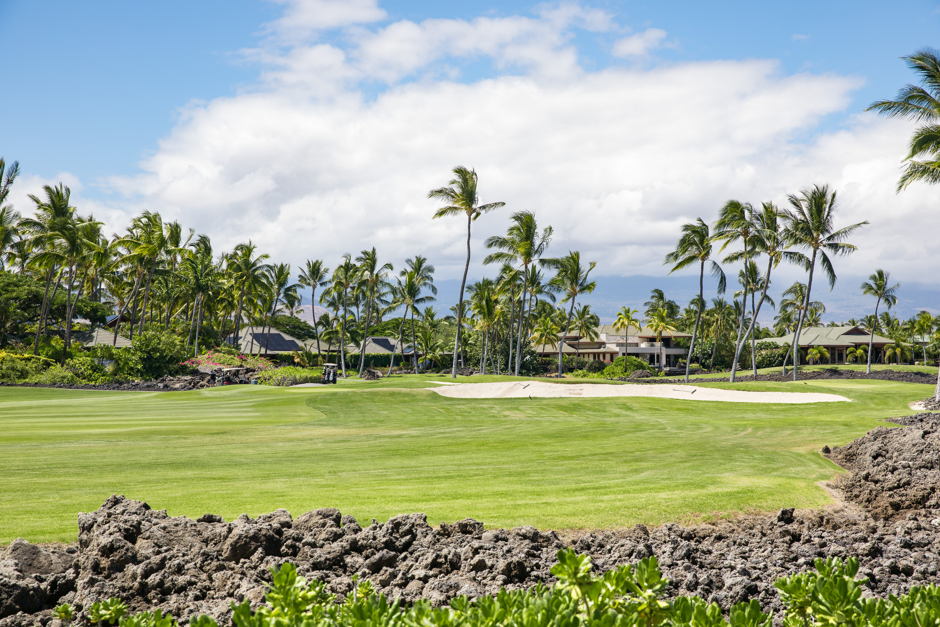 68-1050 Mauna Lani Point J201 Property Photo 10