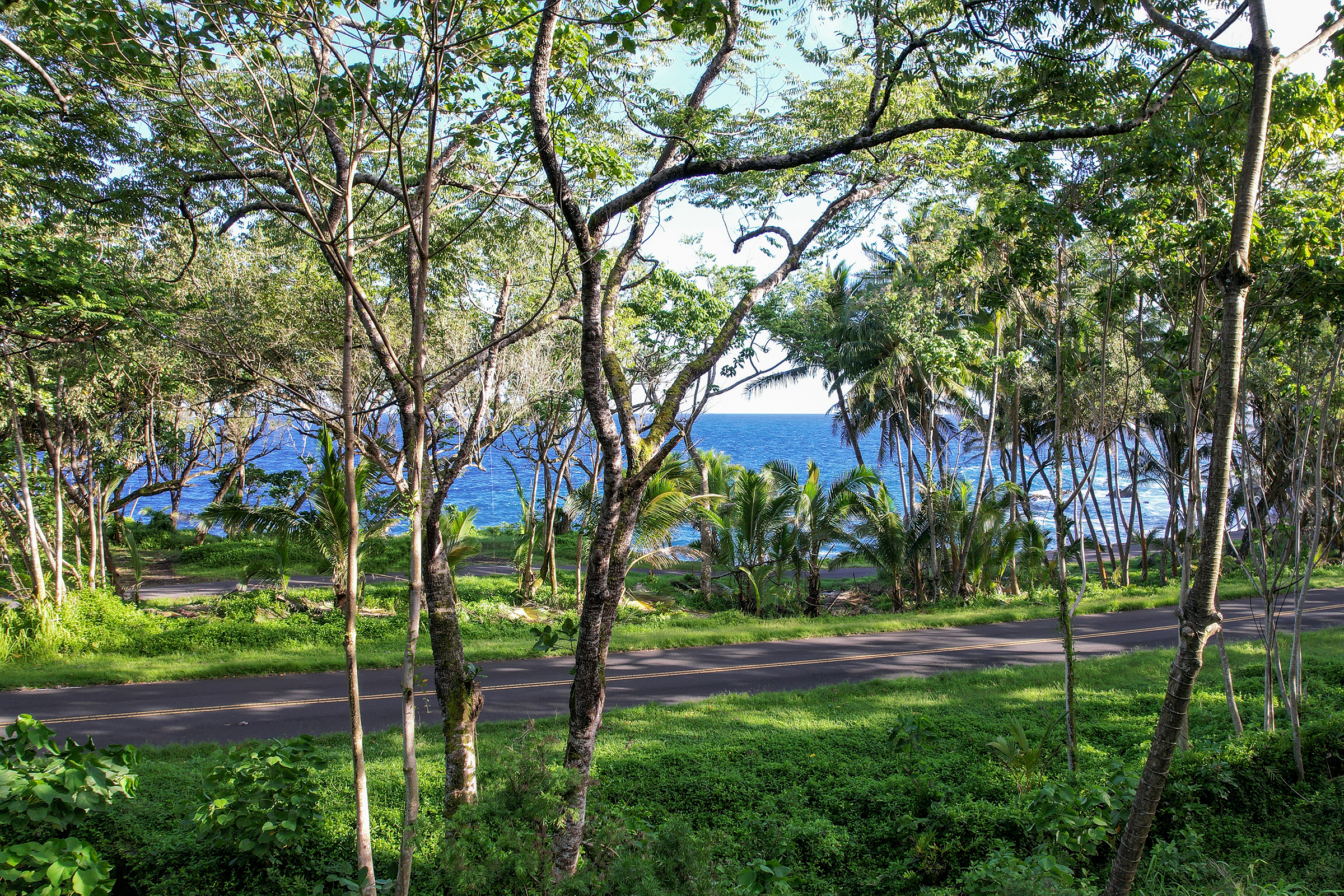 13-103 Nalu Pl Property Photo 5