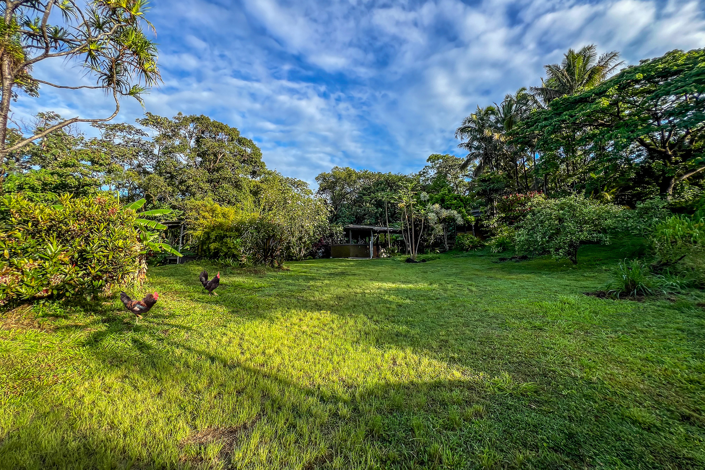 13-103 Nalu Pl Property Photo 6