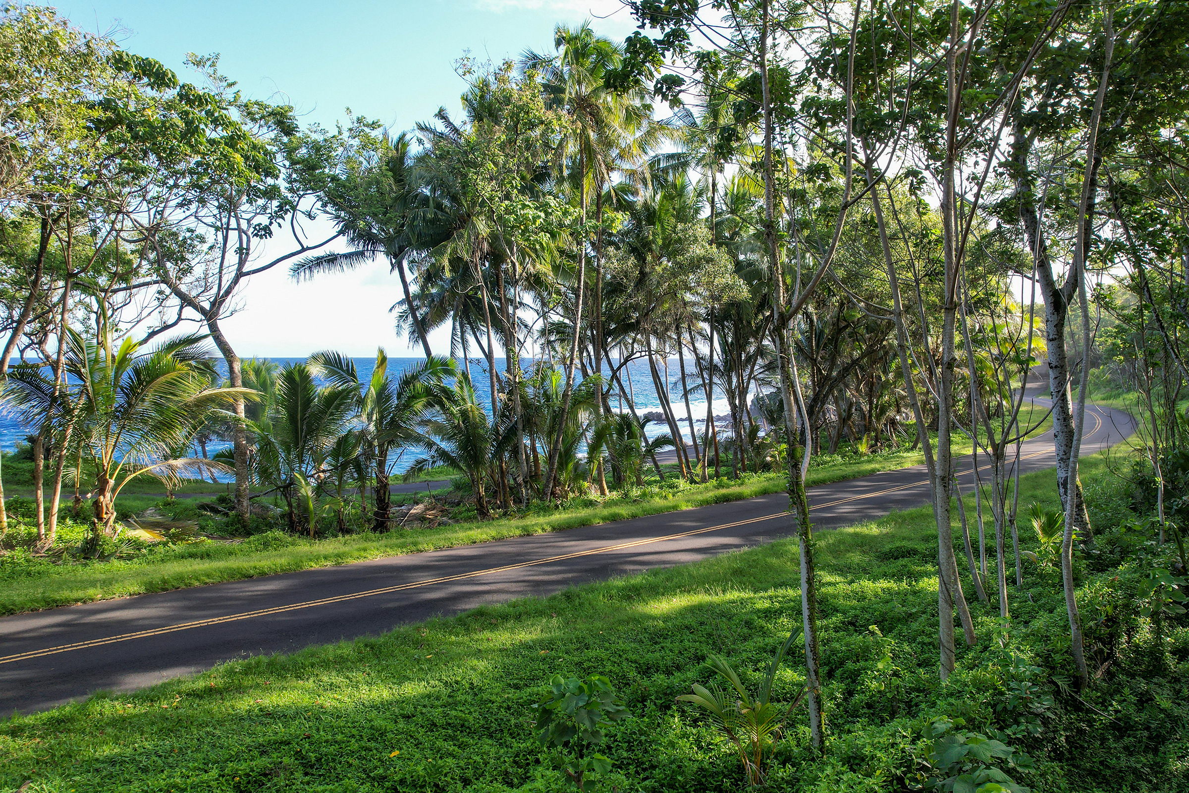 13-103 Nalu Pl Property Photo 16