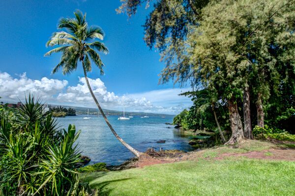 355 Kalanianaole St 330 Property Photo 2