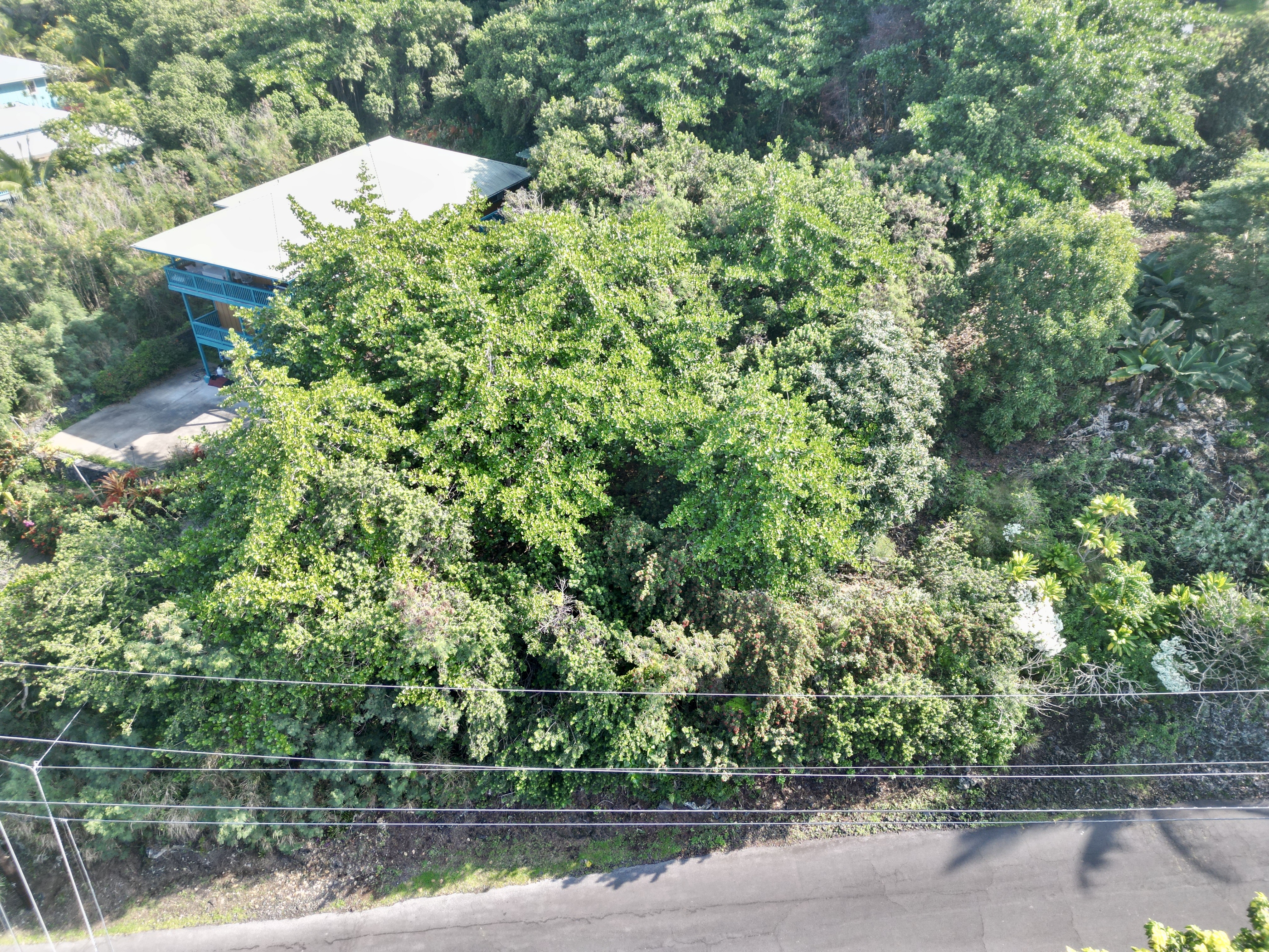 Kaohe Rd Lot 12 Property Photo 1