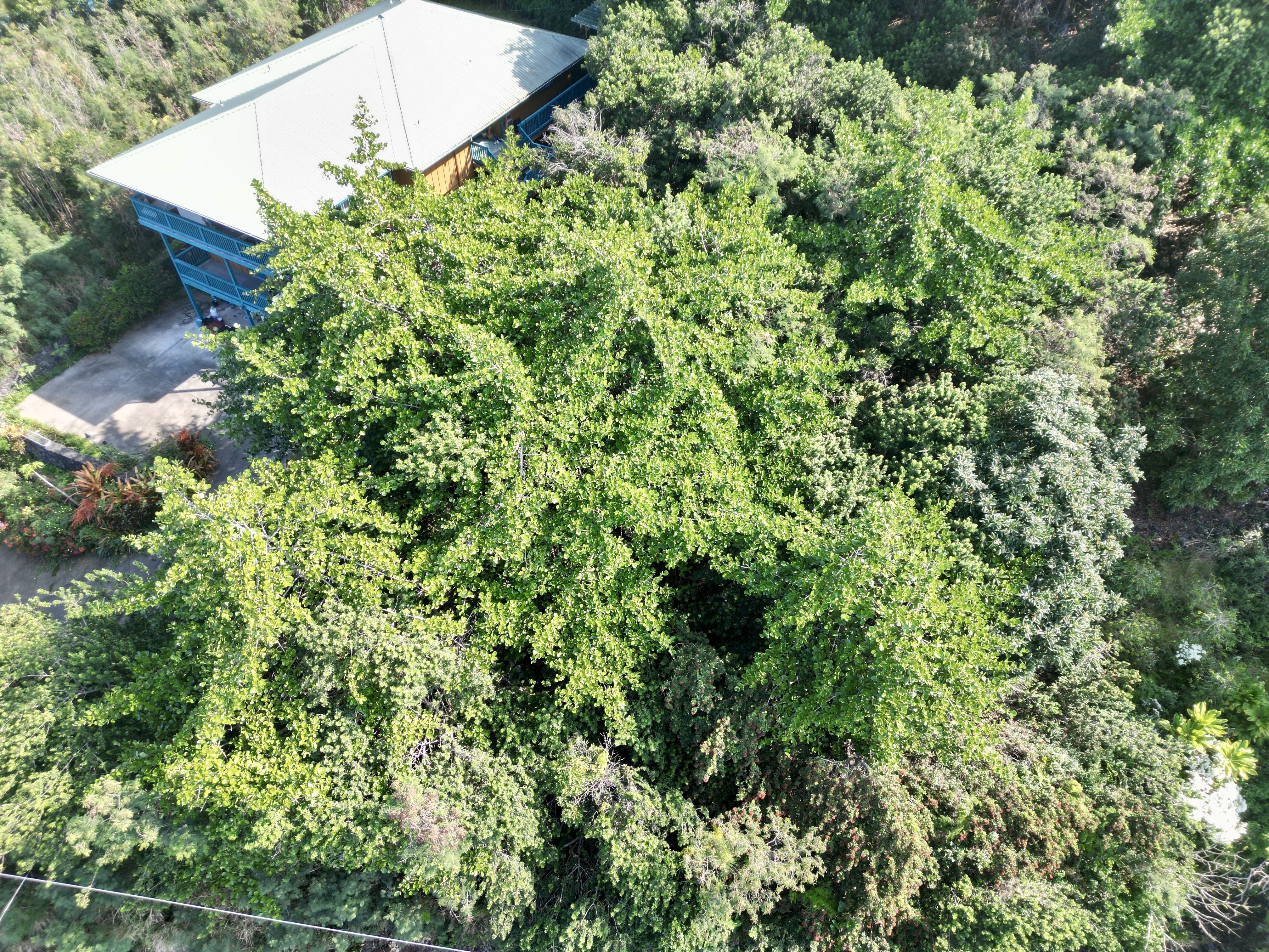 Kaohe Rd Lot 12 Property Photo 3