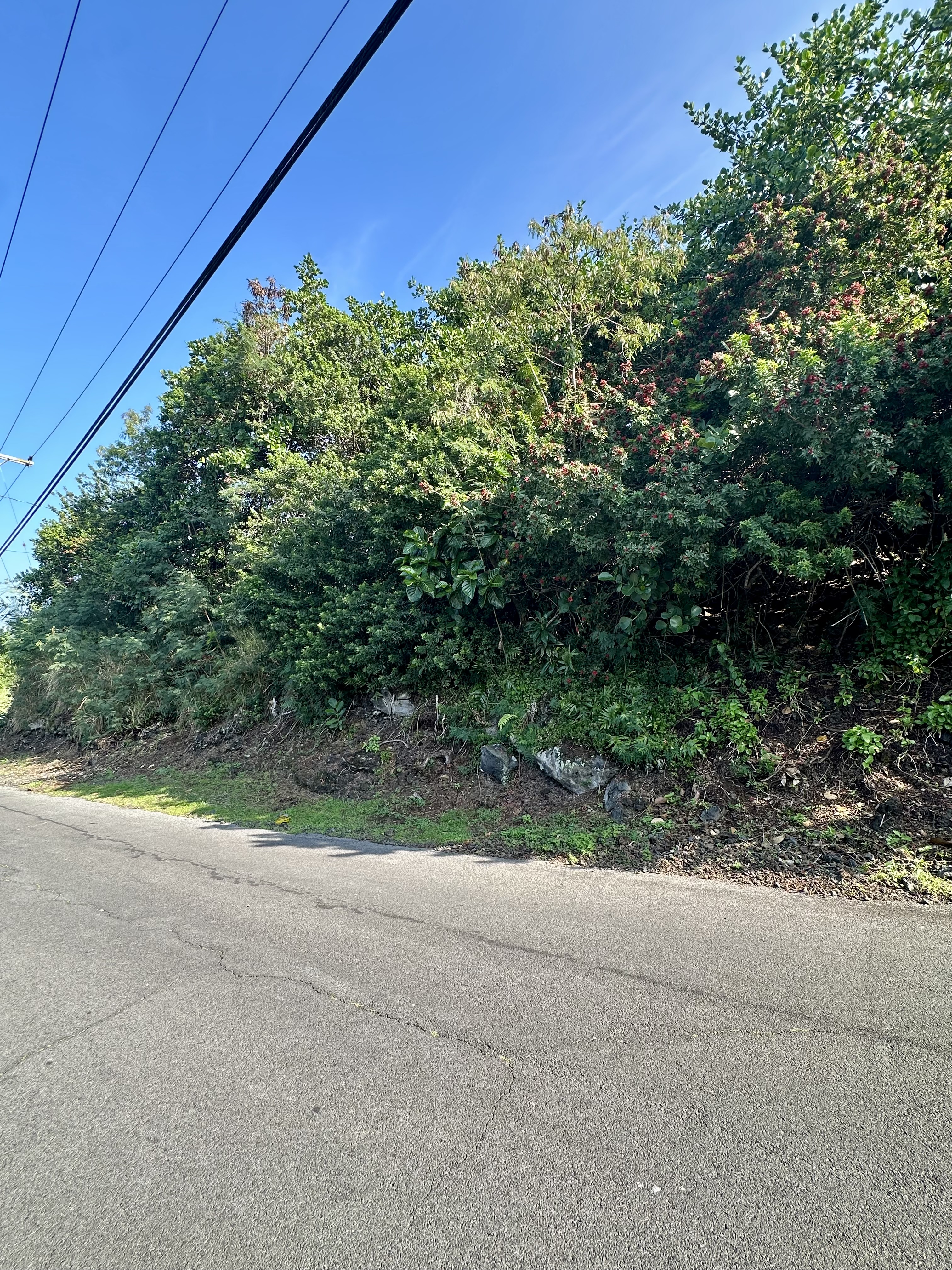 Kaohe Rd Lot 12 Property Photo 4