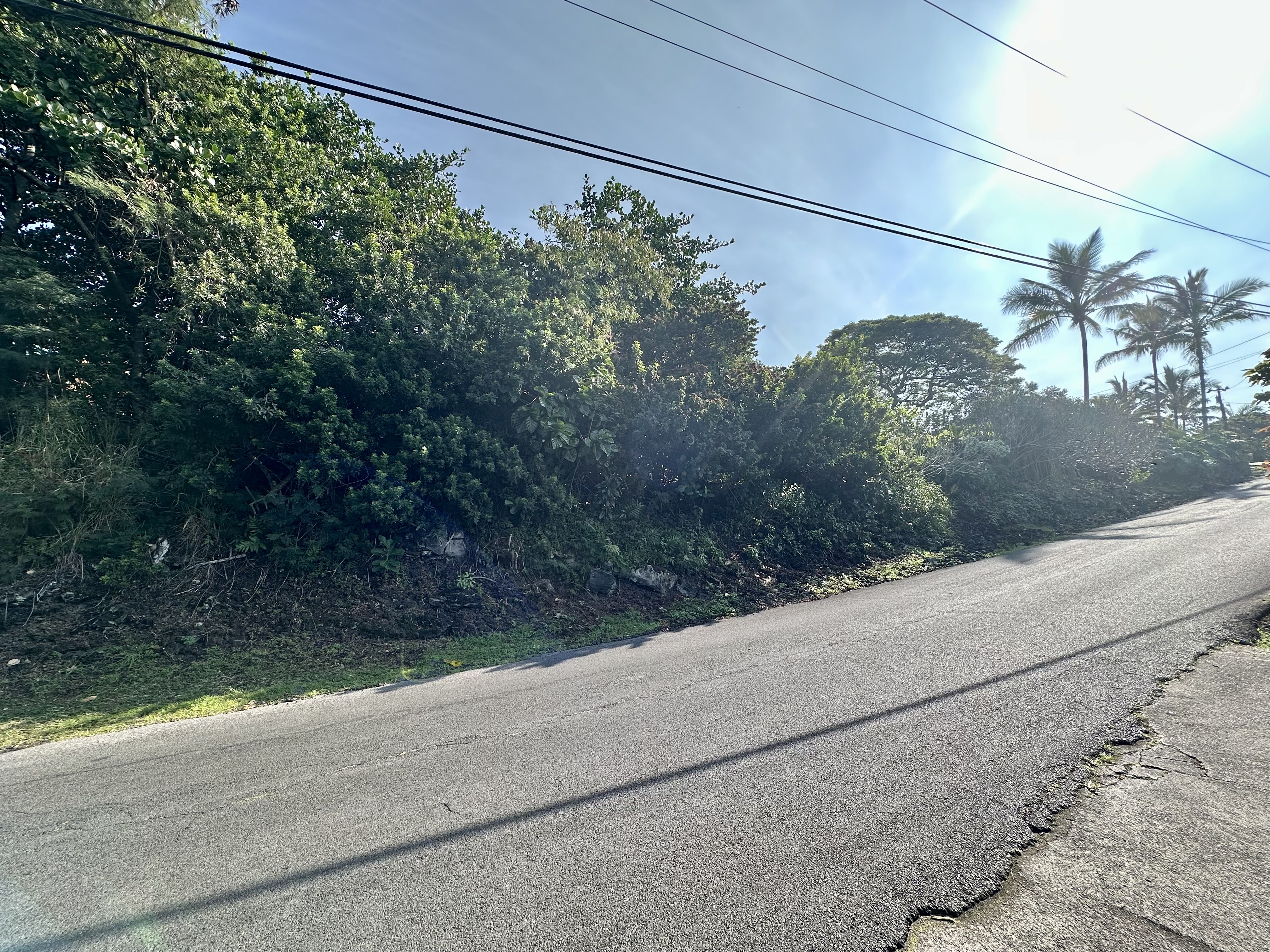Kaohe Rd Lot 12 Property Photo 5
