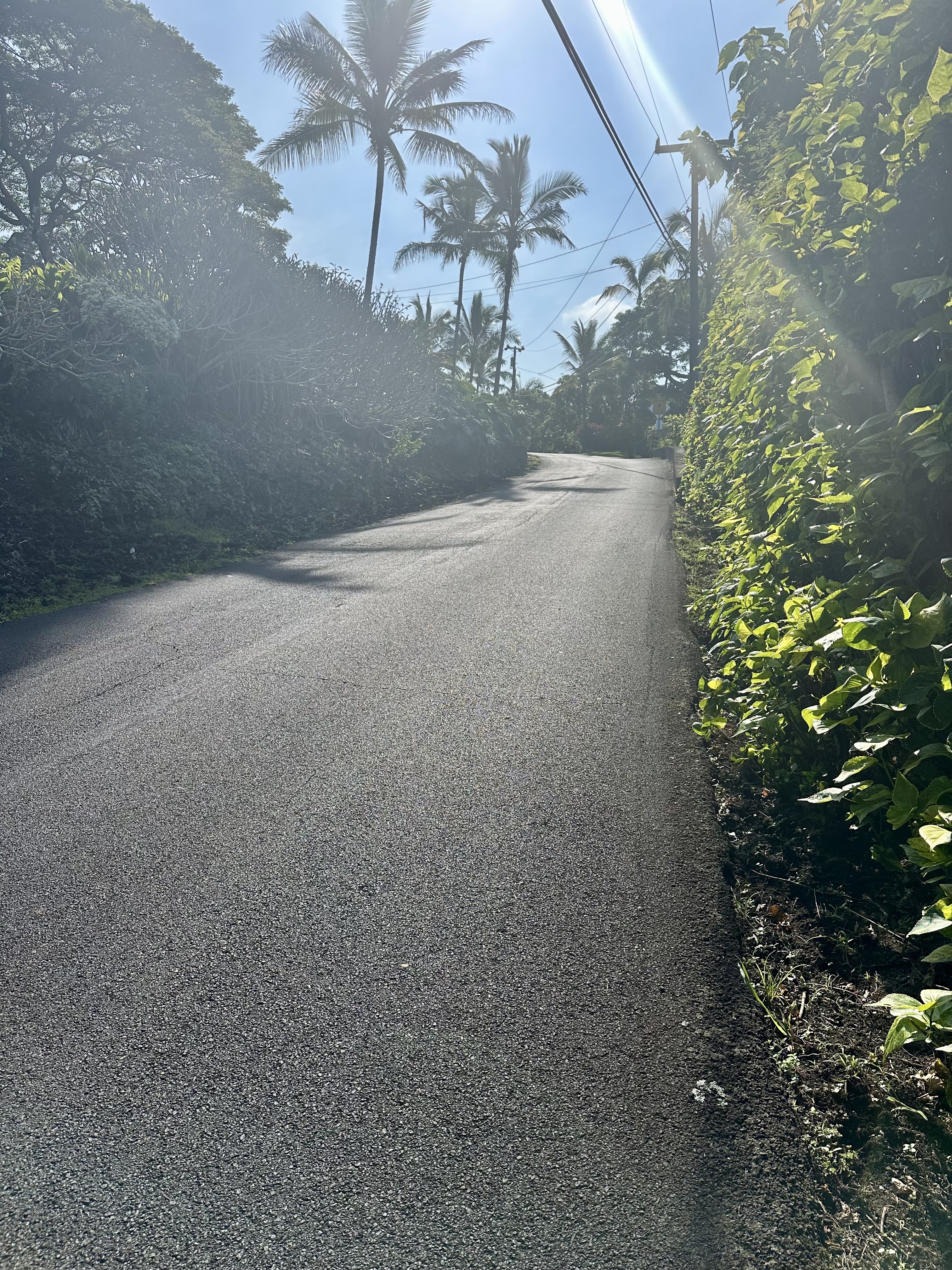 Kaohe Rd Lot 12 Property Photo 6