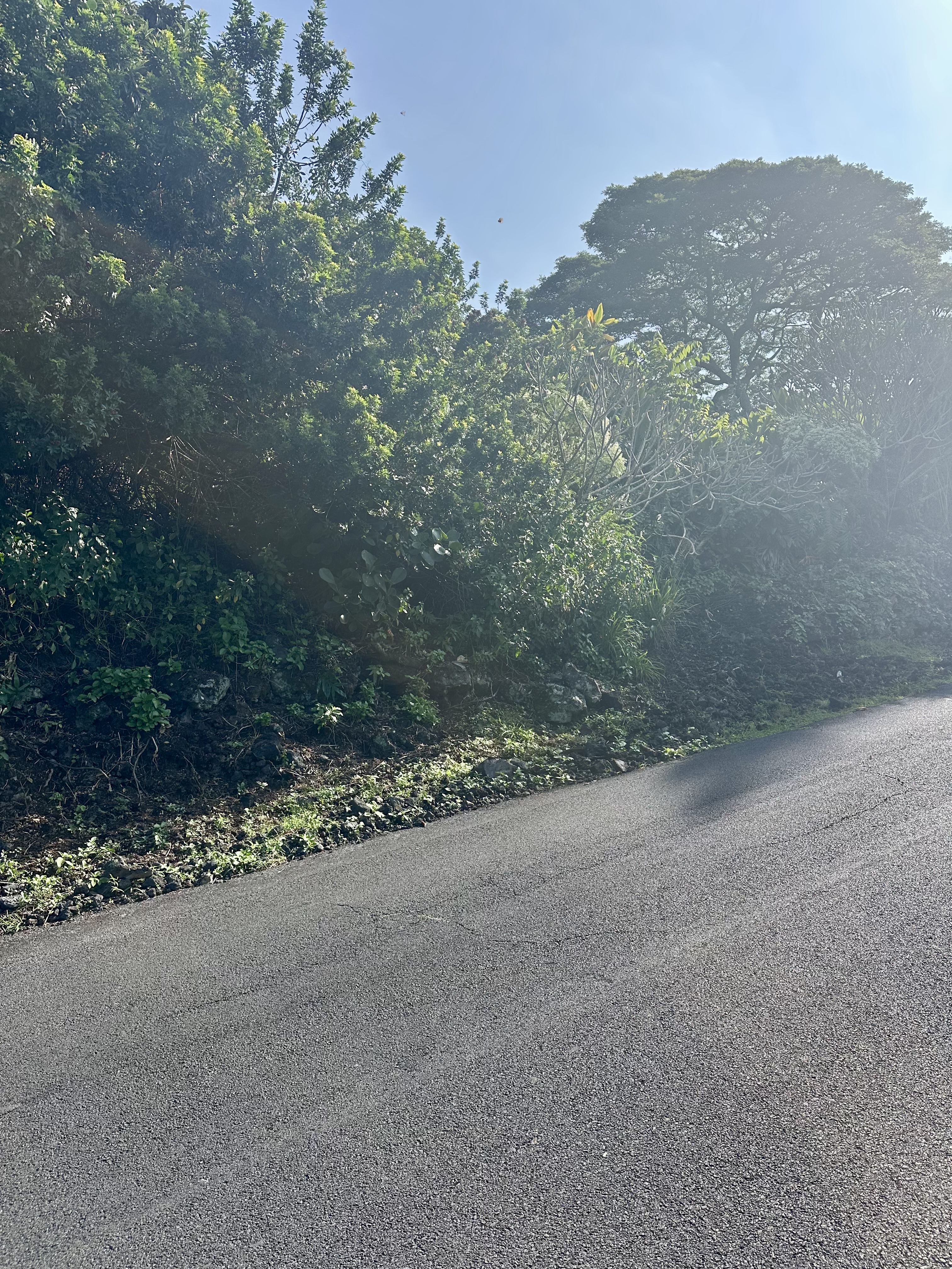 Kaohe Rd Lot 12 Property Photo 7