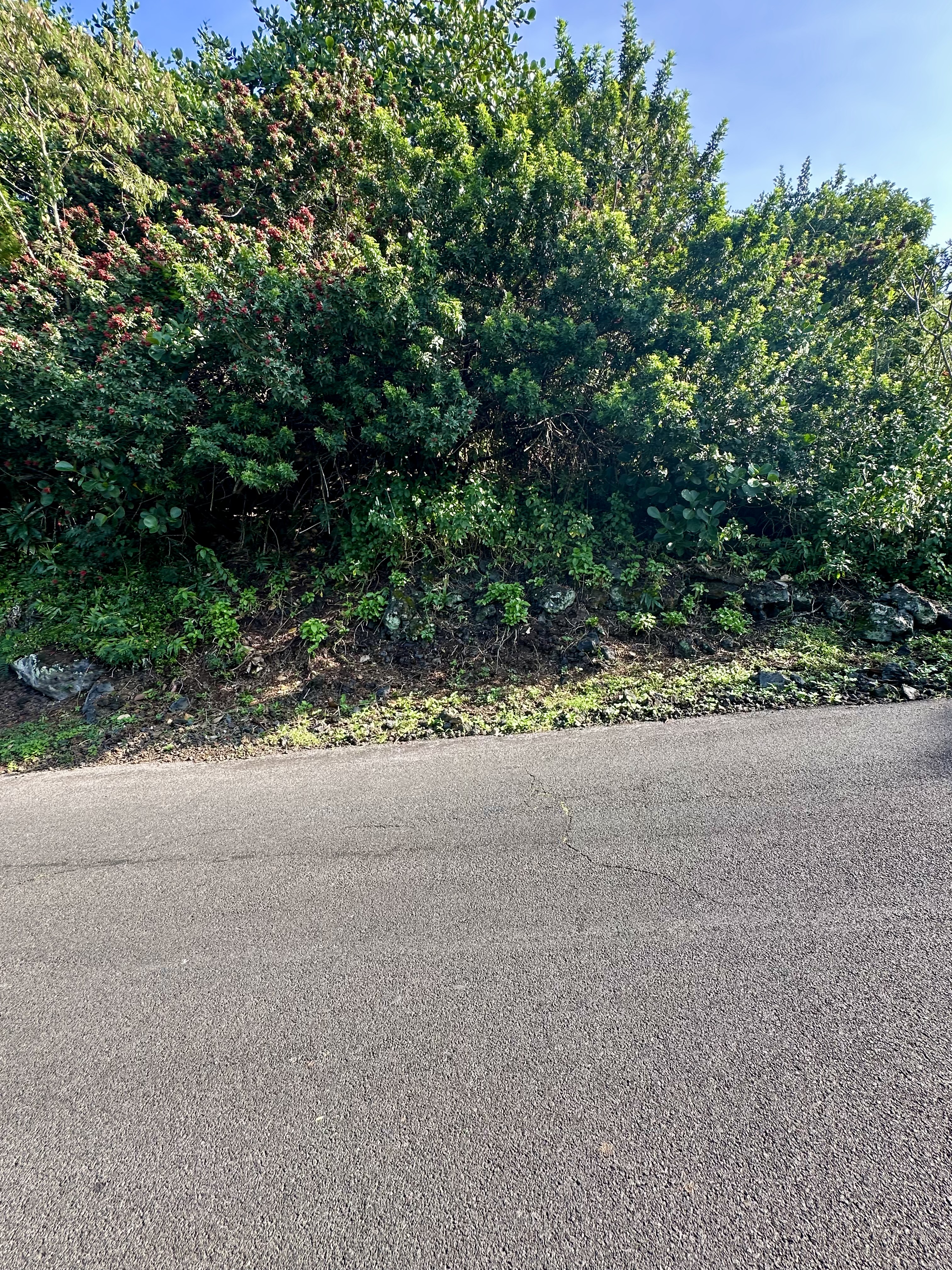 Kaohe Rd Lot 12 Property Photo 8