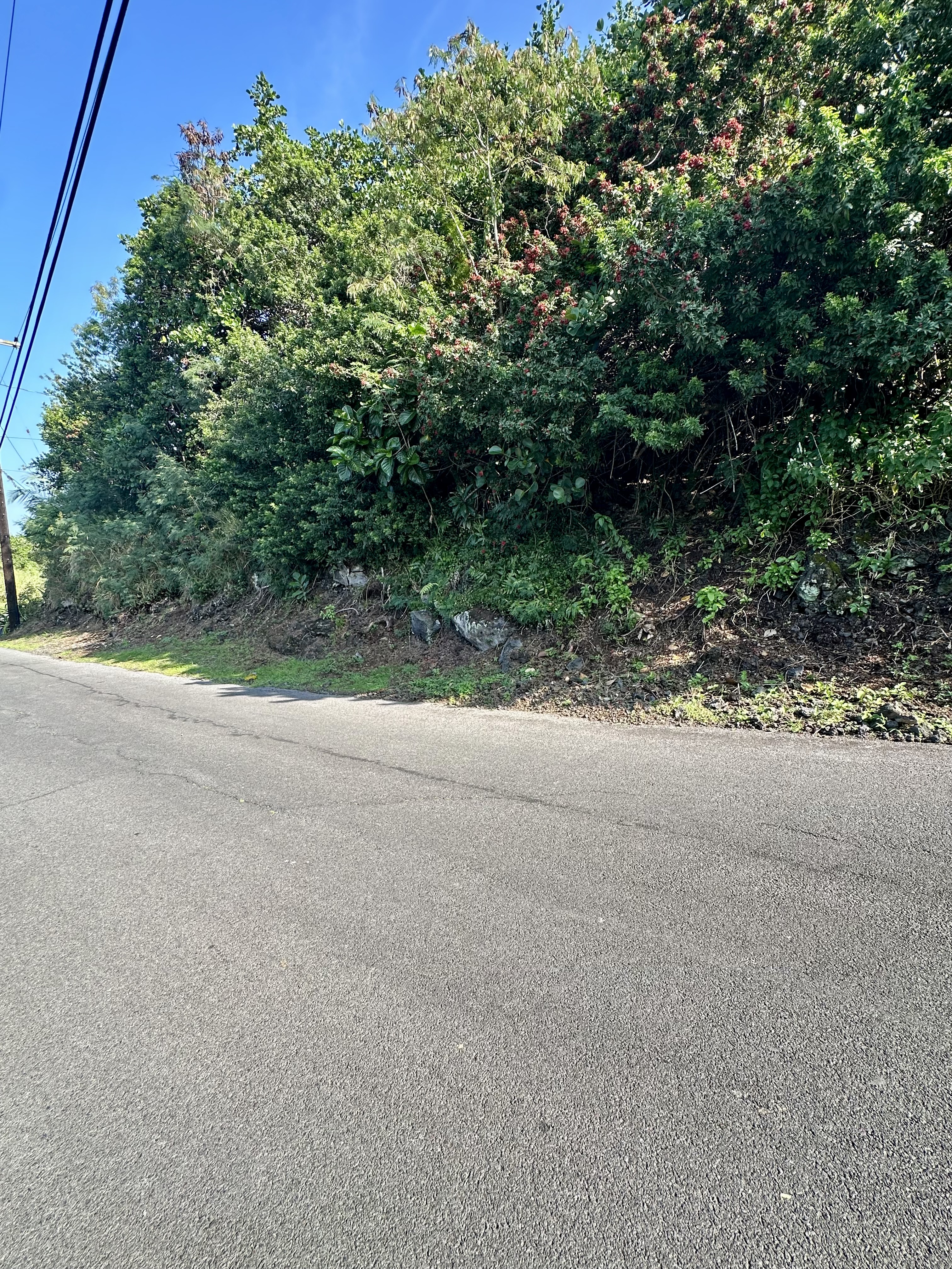 Kaohe Rd Lot 12 Property Photo 9