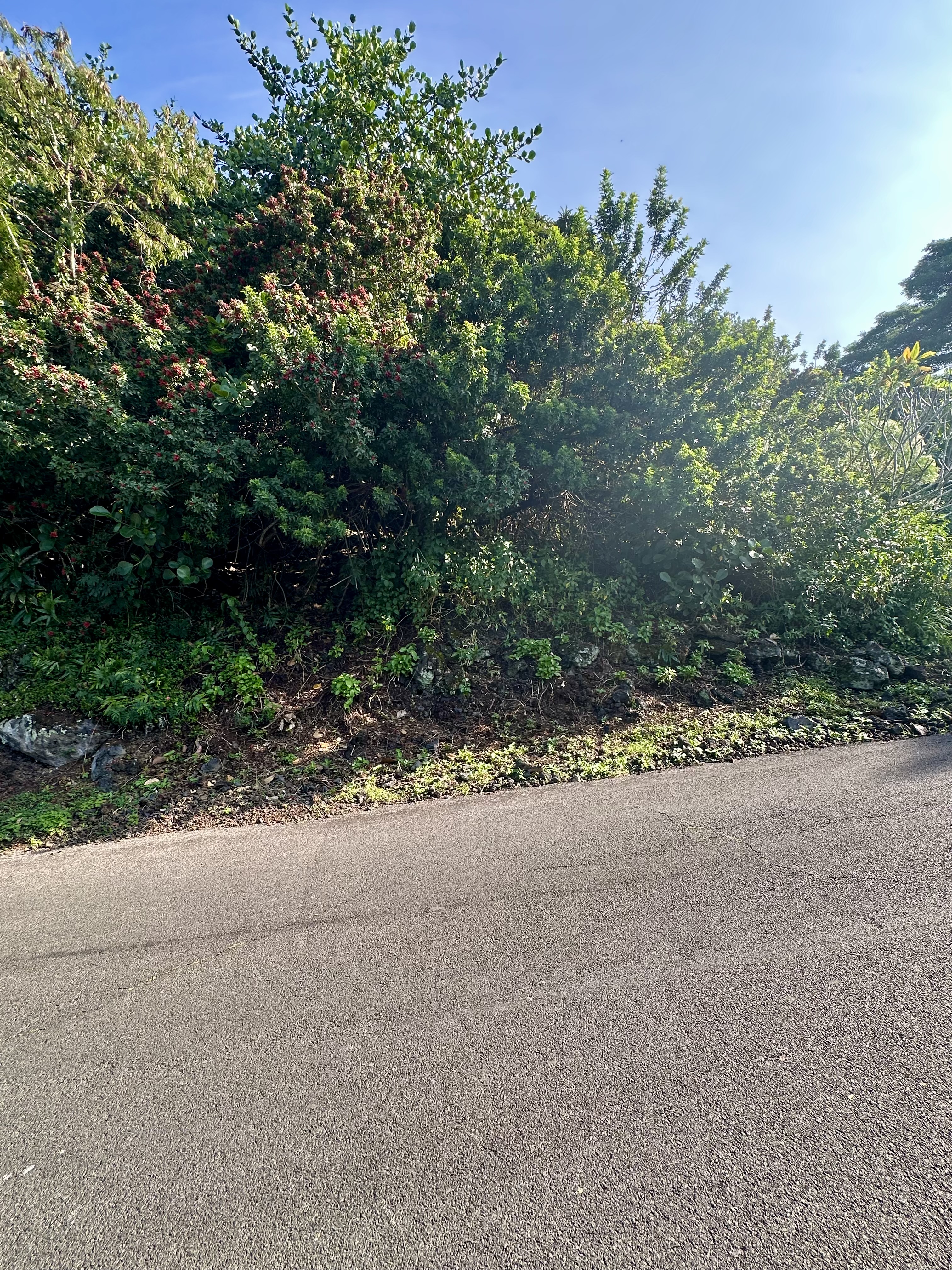 Kaohe Rd Lot 12 Property Photo 10