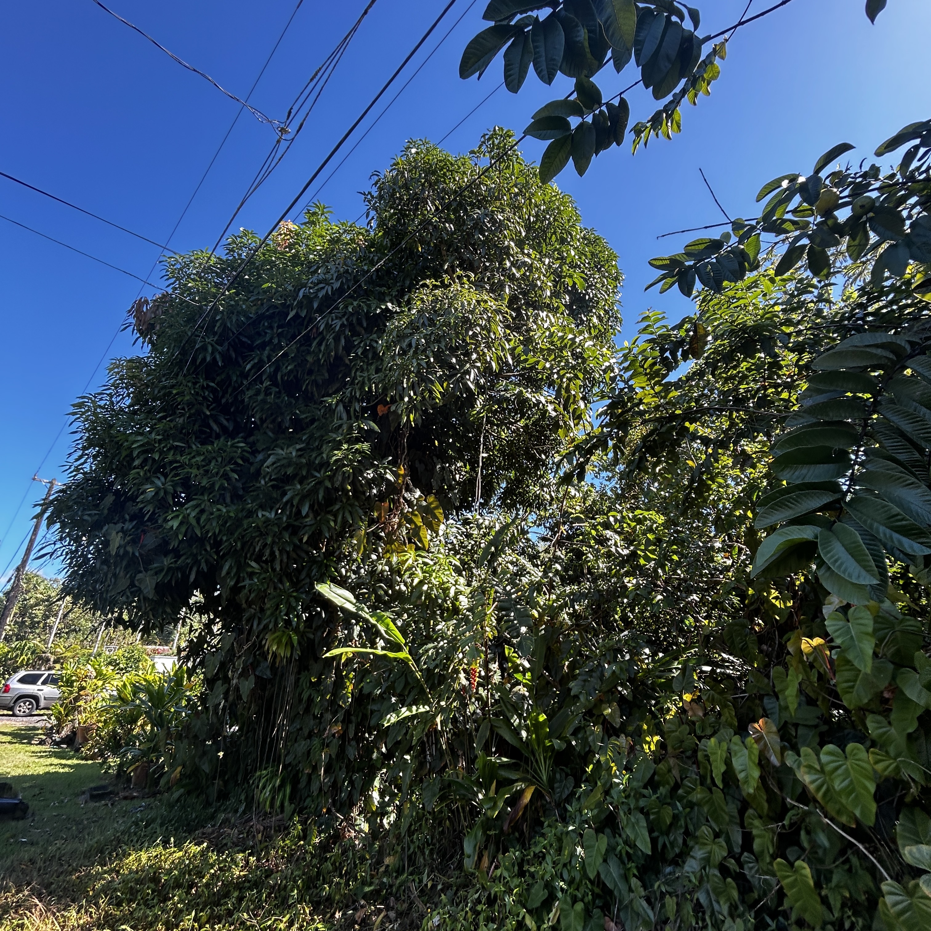 Opae St Property Photo 5