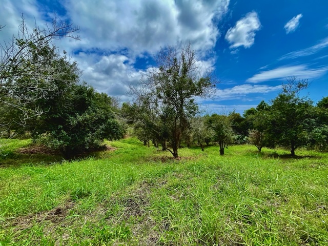 84-1178 Telephone Exchange Property Photo 18