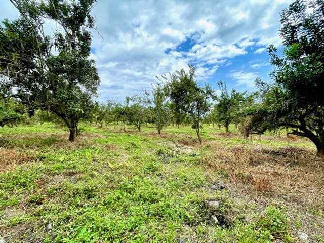 84-1178 Telephone Exchange Property Photo 21