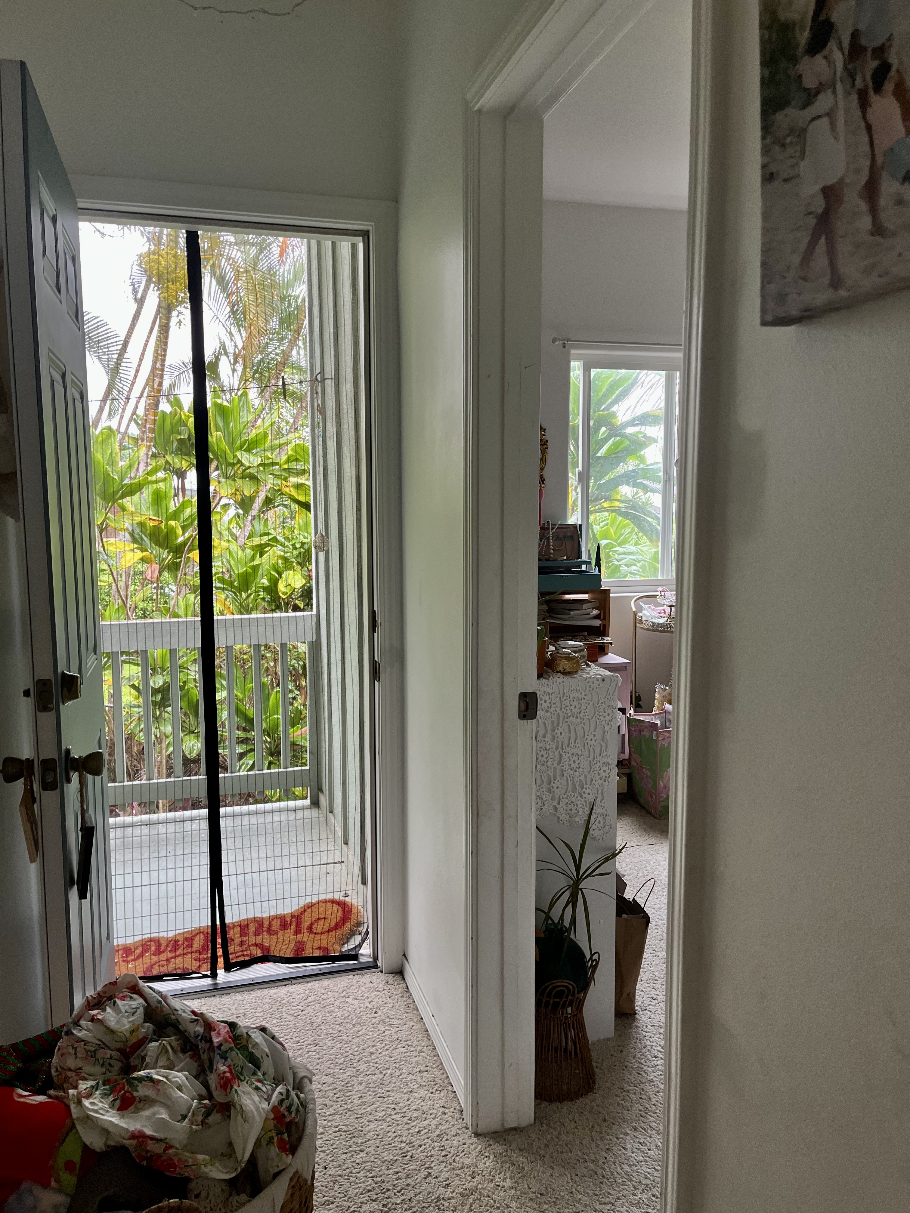 24 Manu Pl Property Photo 11