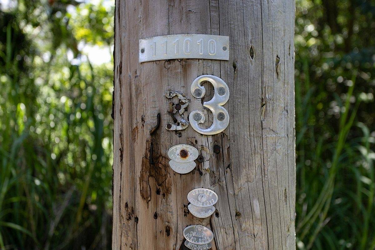 Nenue St Property Photo 9