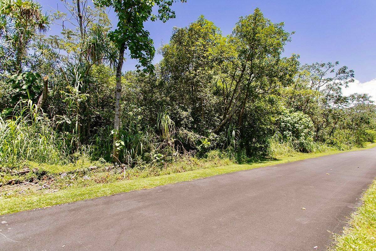 Nenue St Property Photo 10