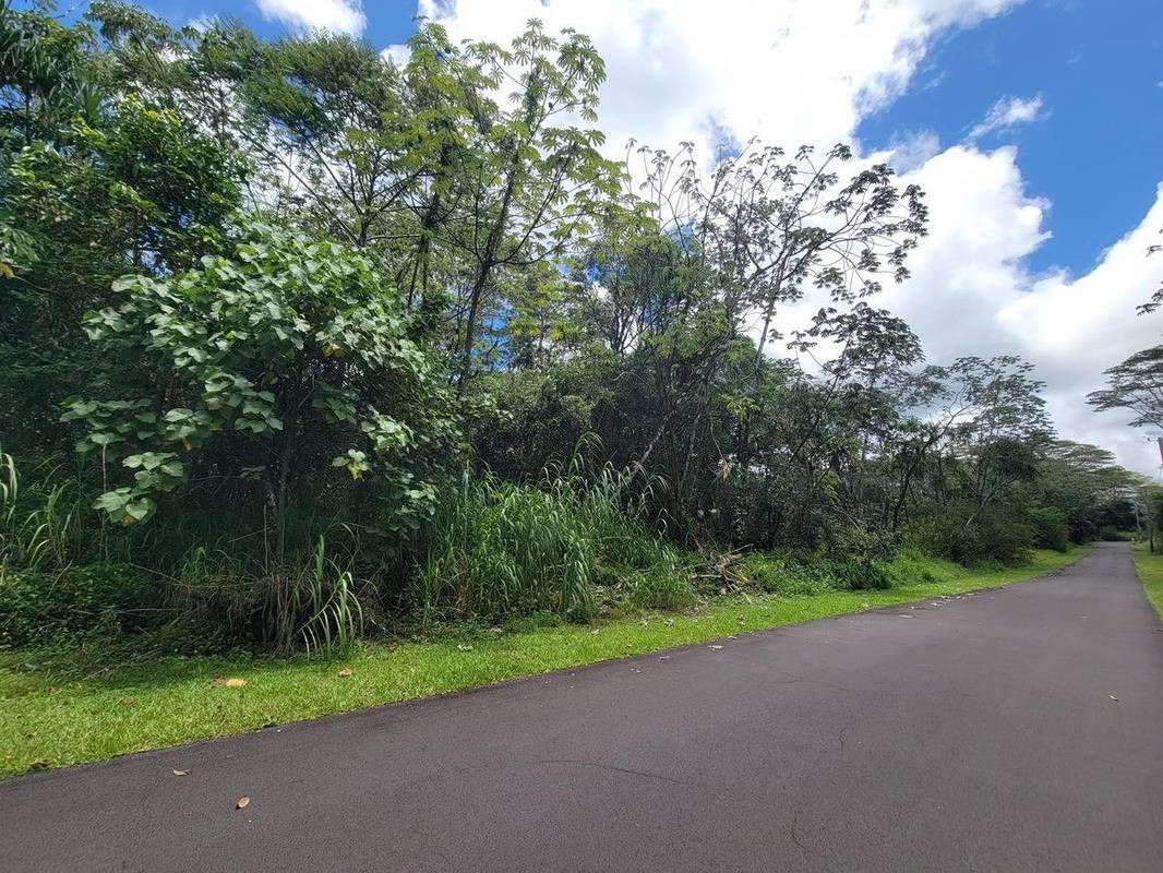 Nenue St Property Photo 16