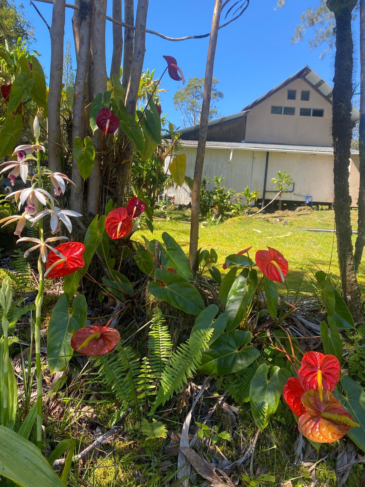 11-1860 Mahina St Property Photo 4
