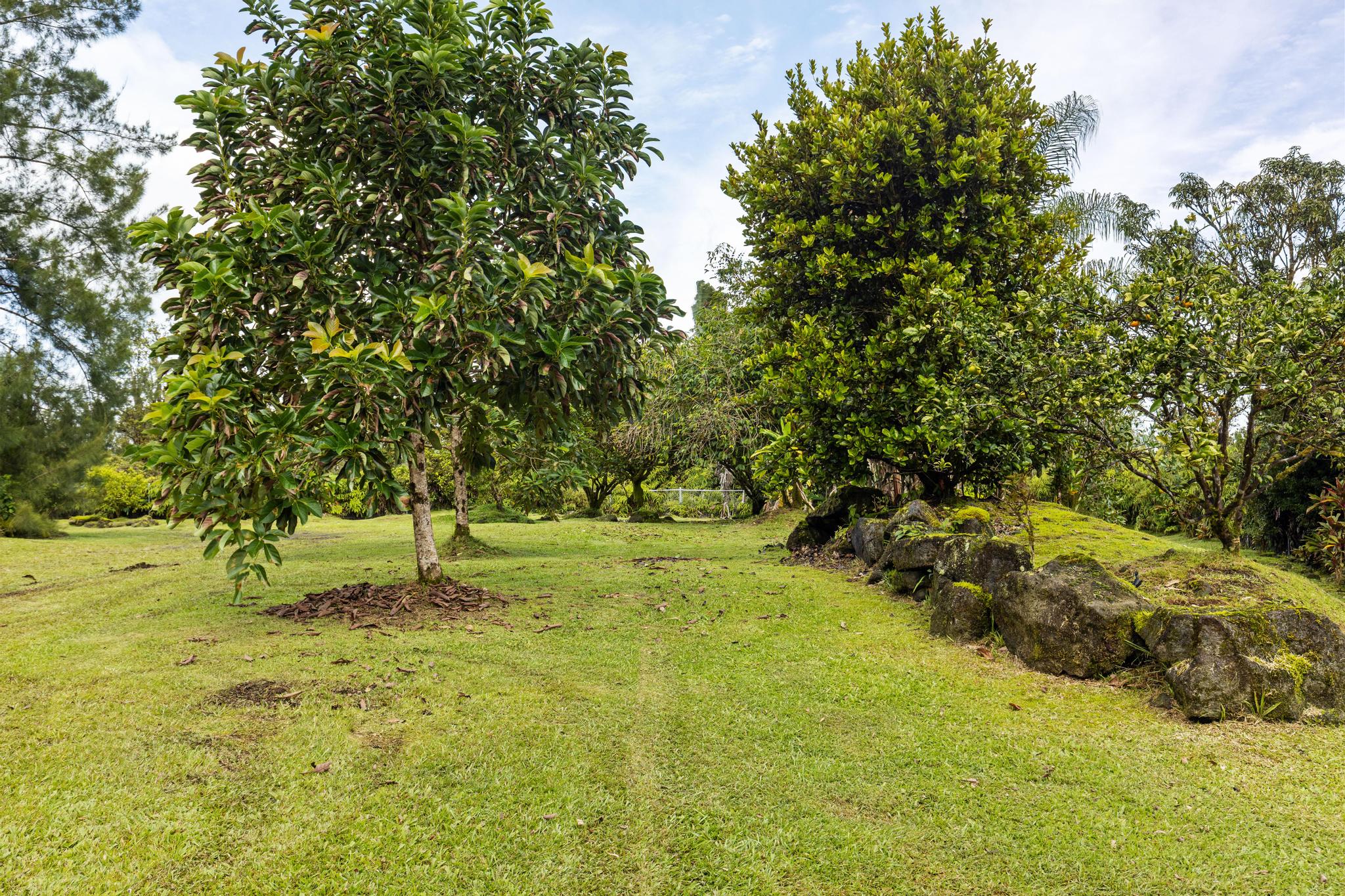 11-1860 Mahina St Property Photo 6