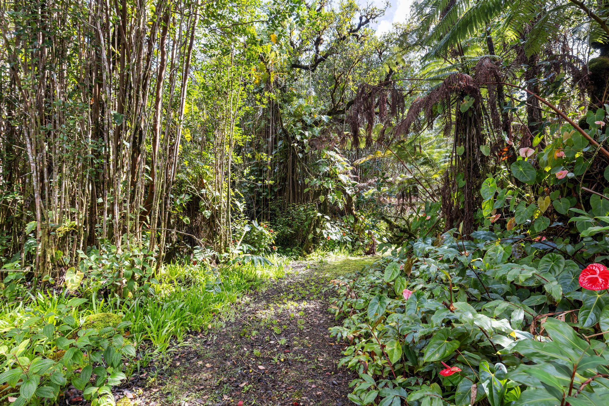 11-1860 Mahina St Property Photo 29
