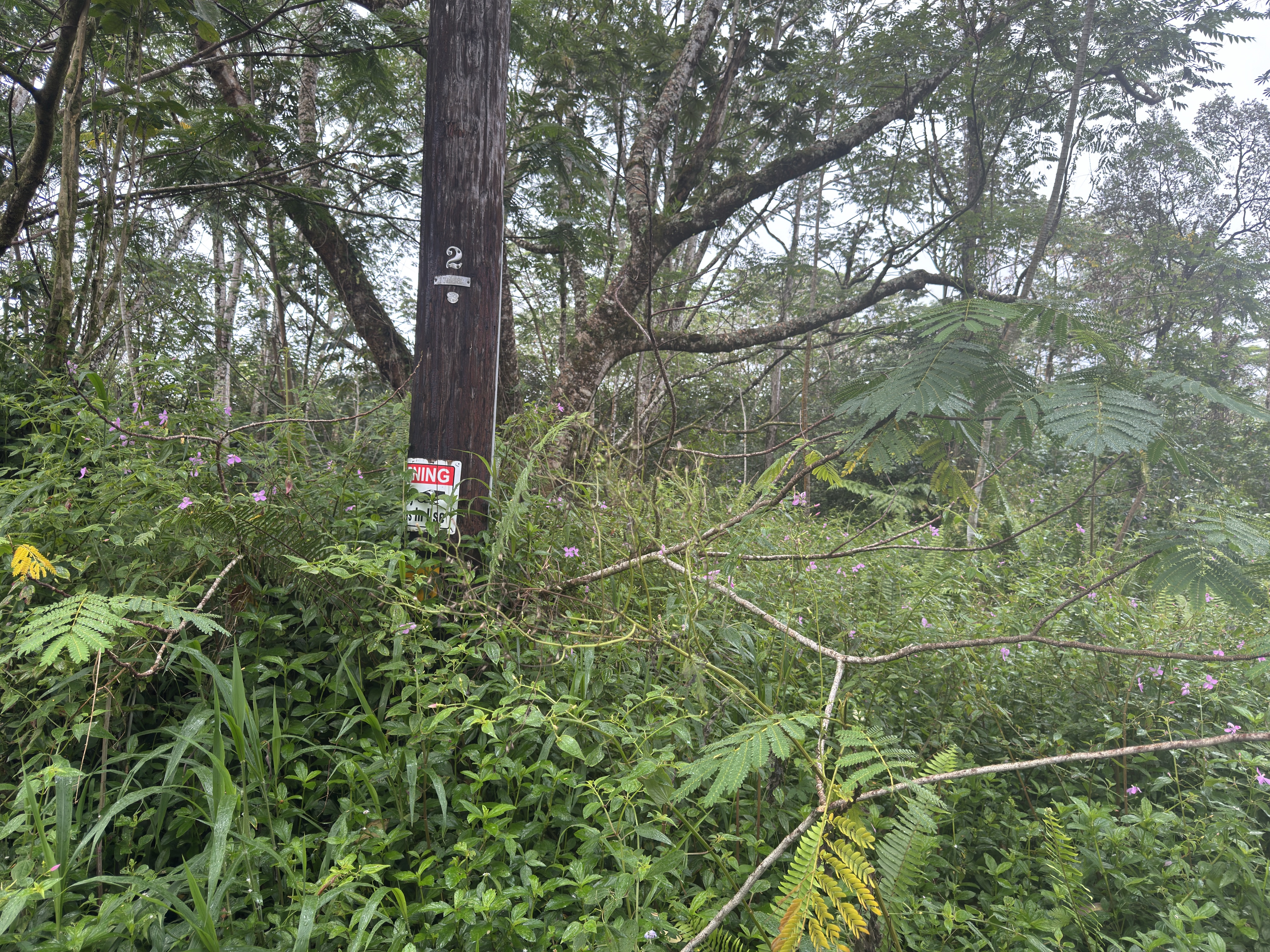 Pahoa Circle Property Photo 1