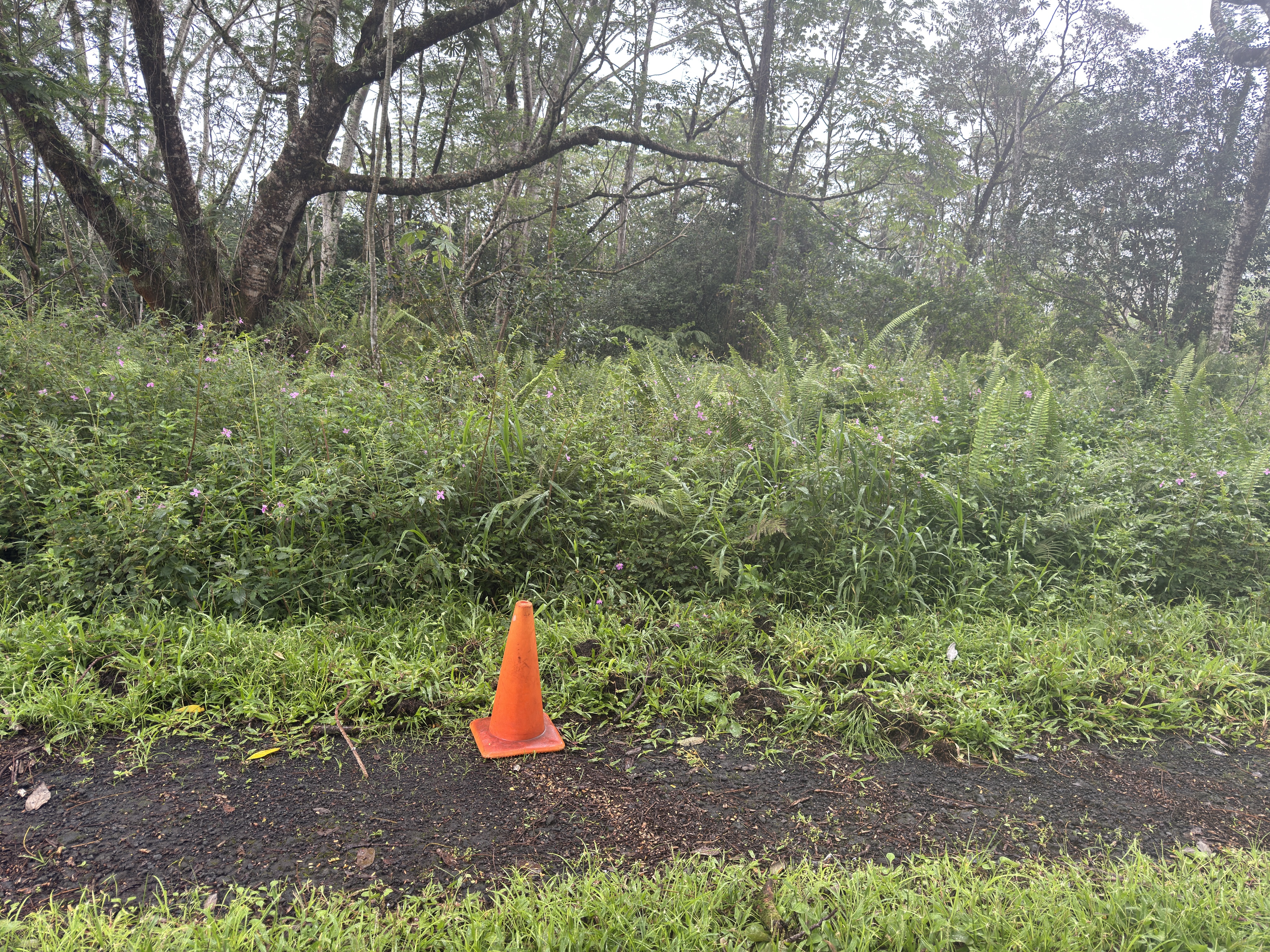 Pahoa Circle Property Photo 2