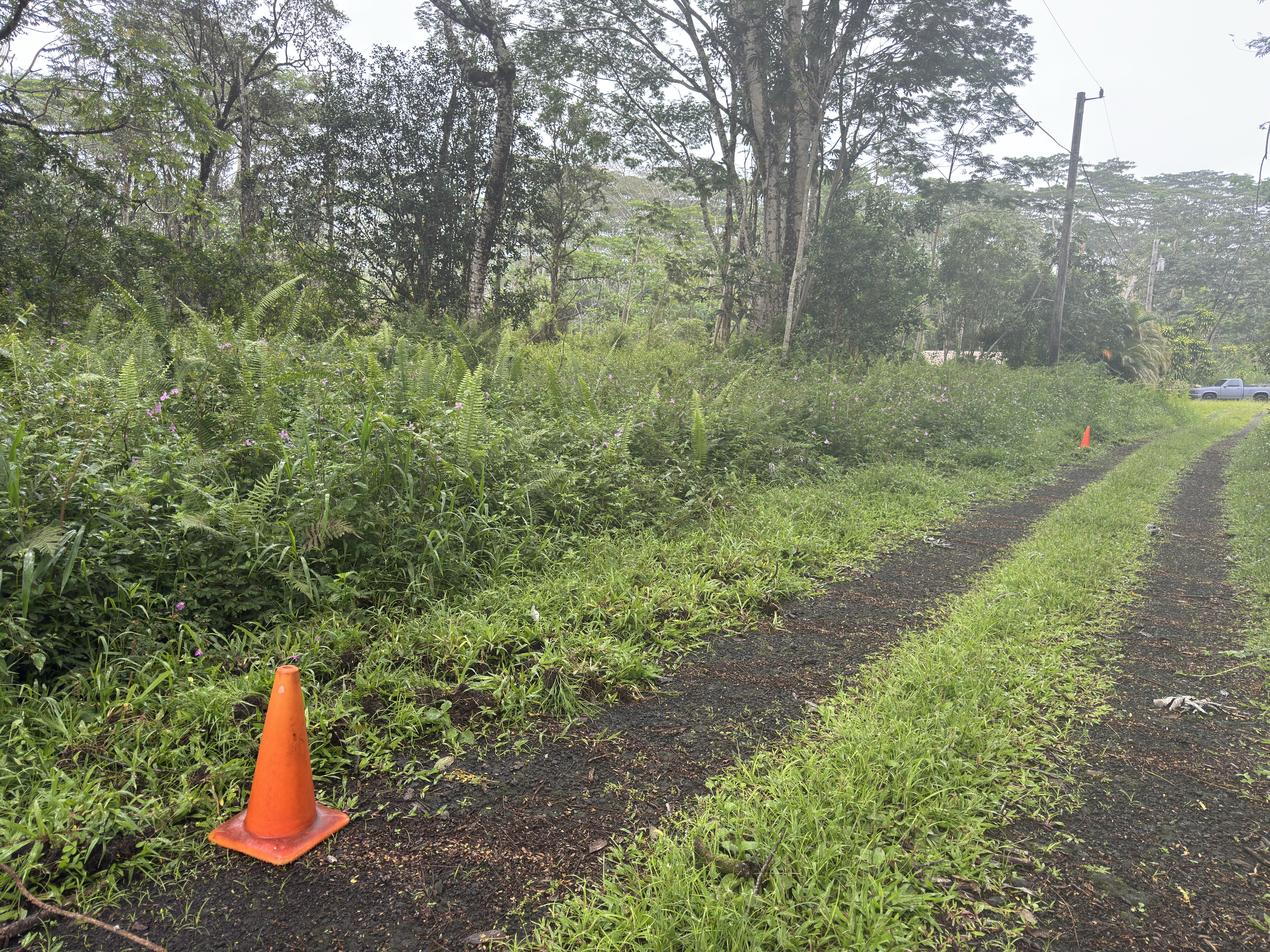 Pahoa Circle Property Photo 3