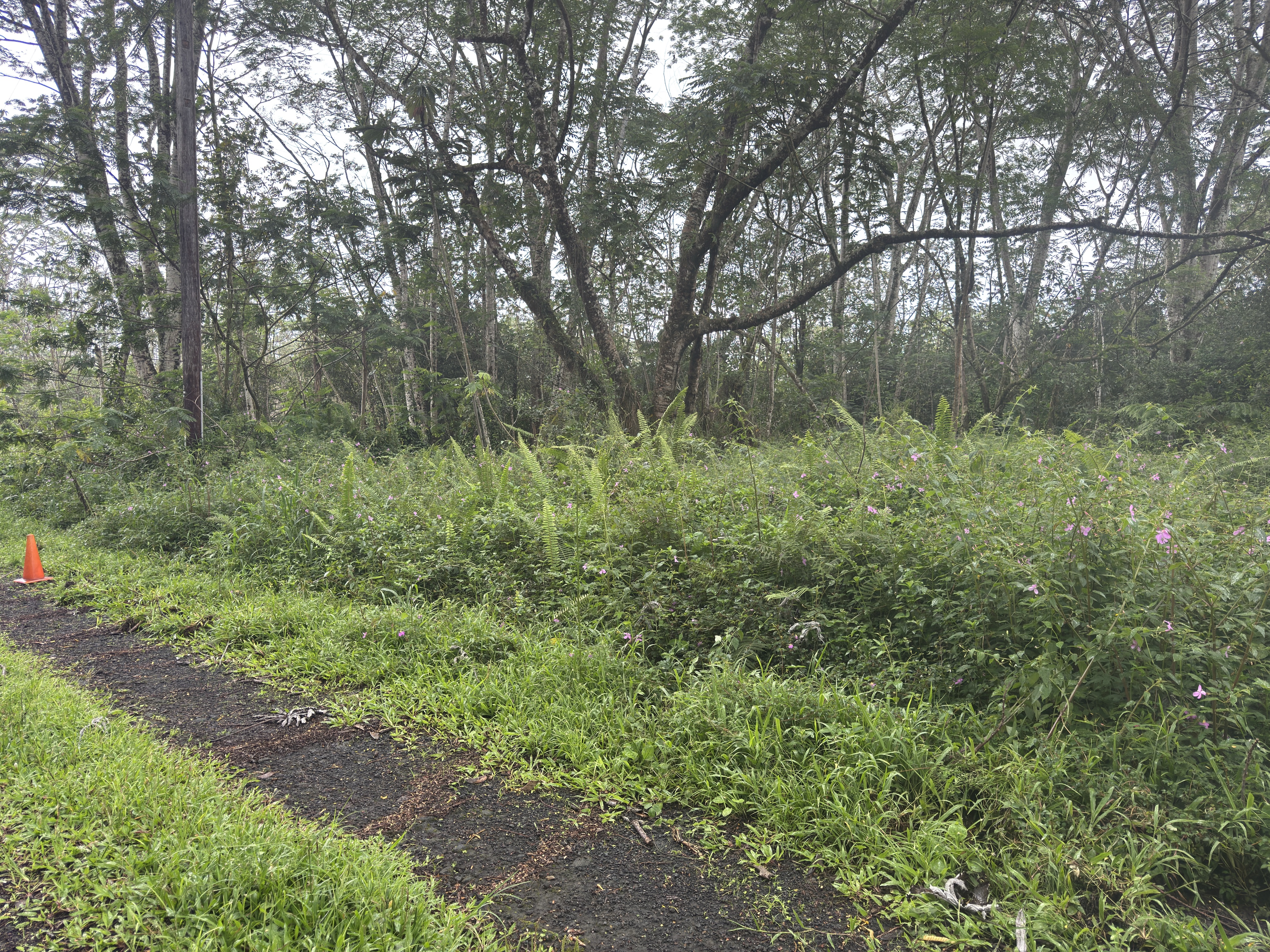 Pahoa Circle Property Photo 5