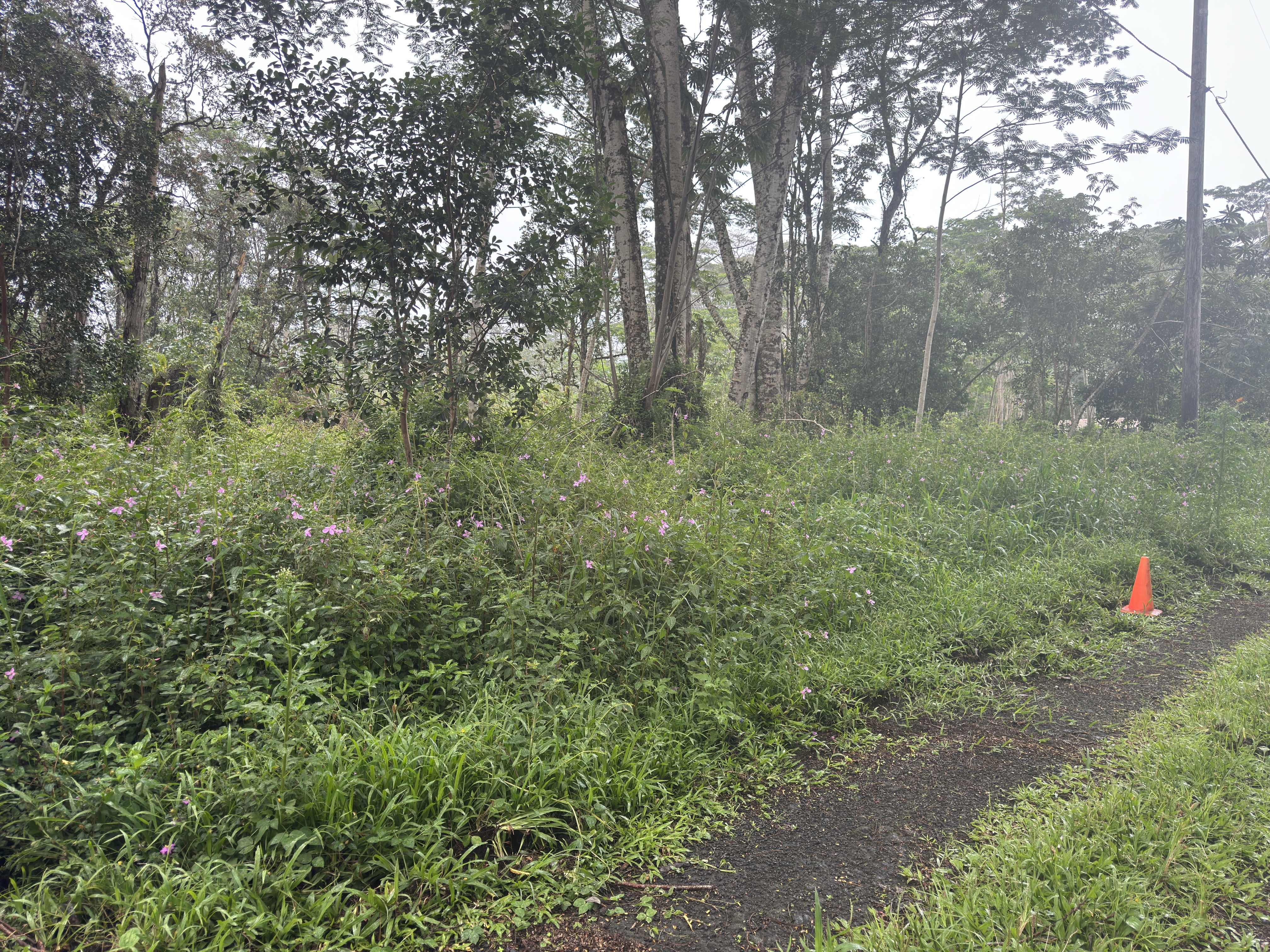 Pahoa Circle Property Photo 6