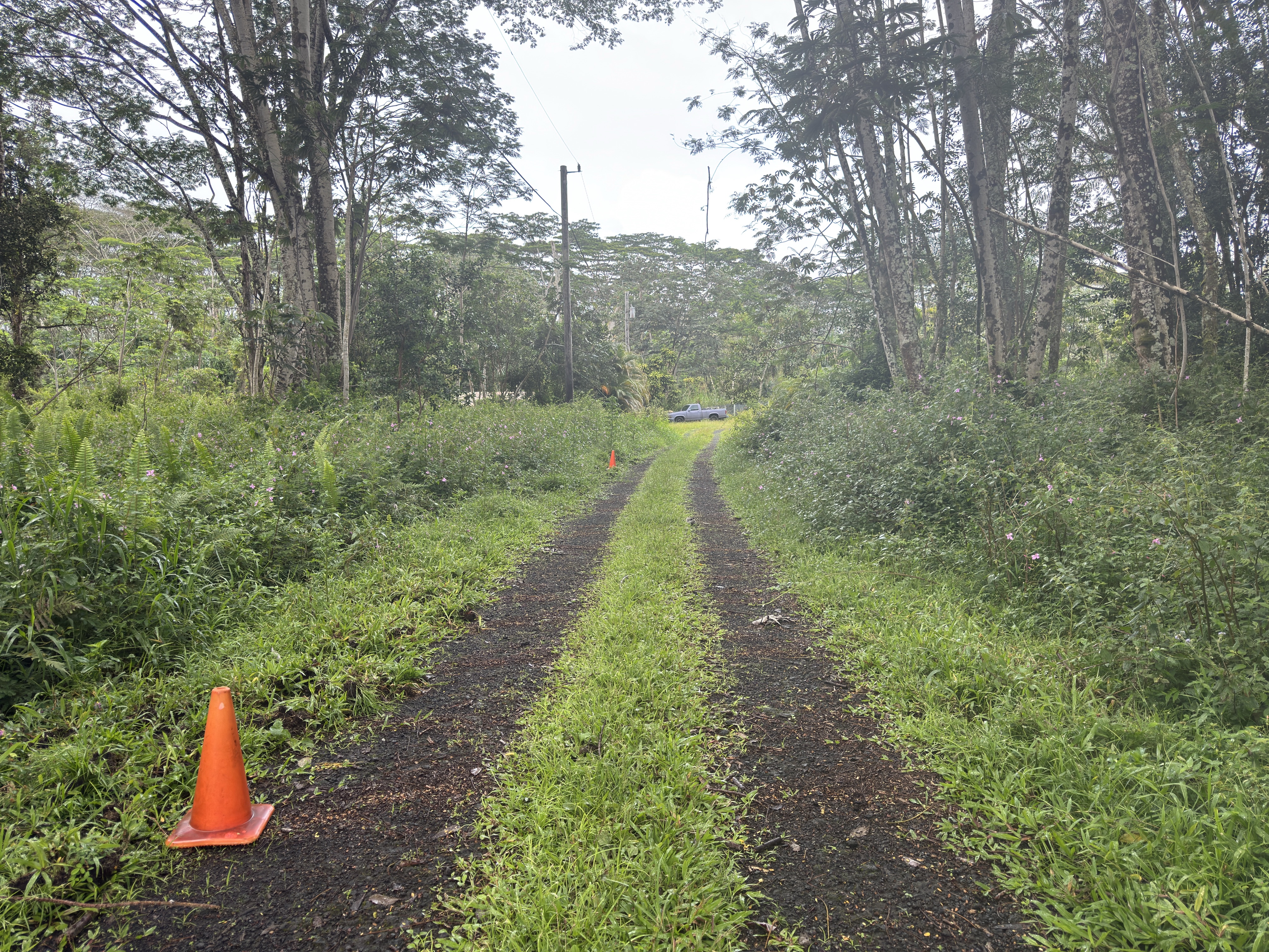 Pahoa Circle Property Photo 7
