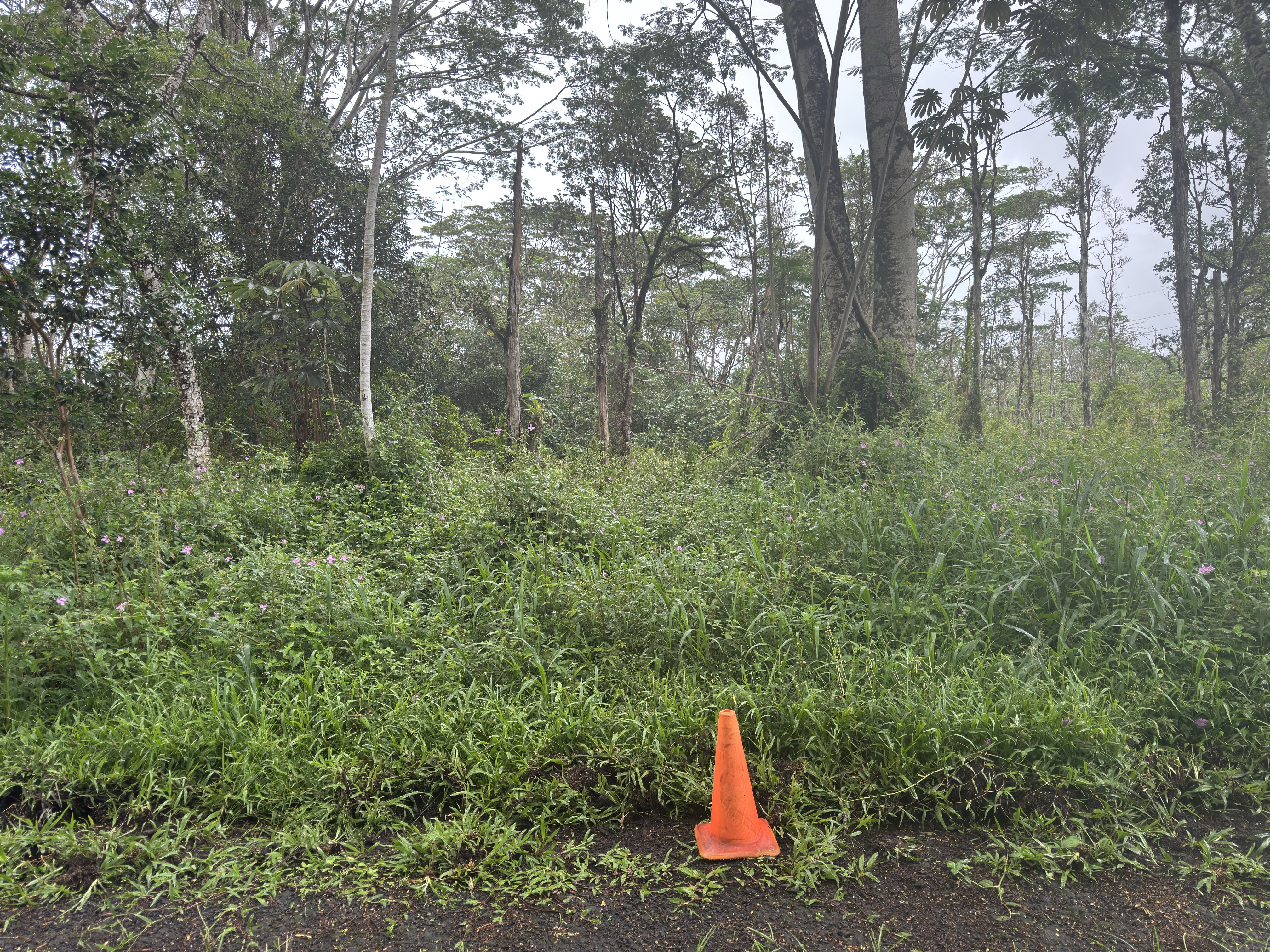 Pahoa Circle Property Photo 8