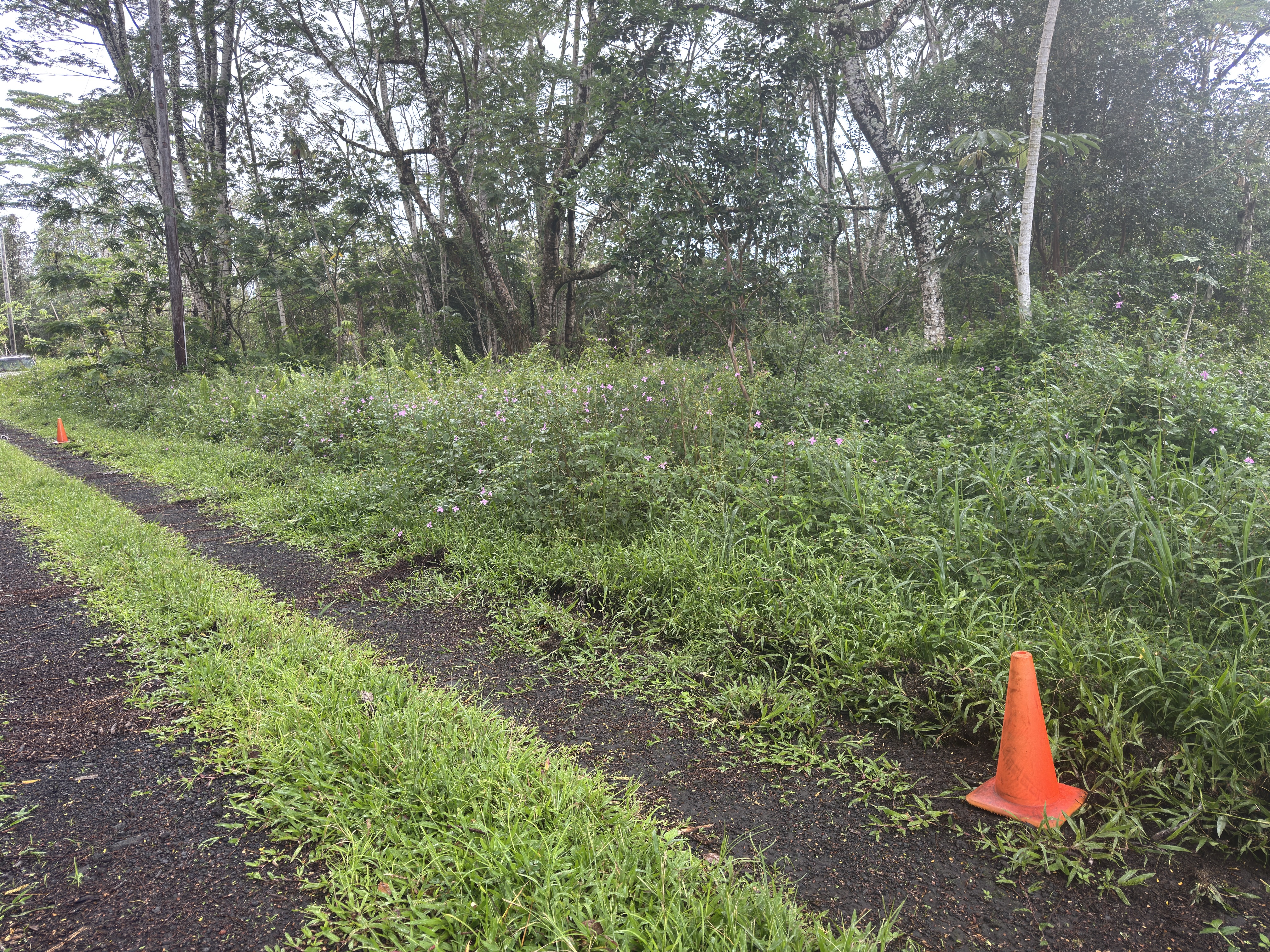 Pahoa Circle Property Photo 9