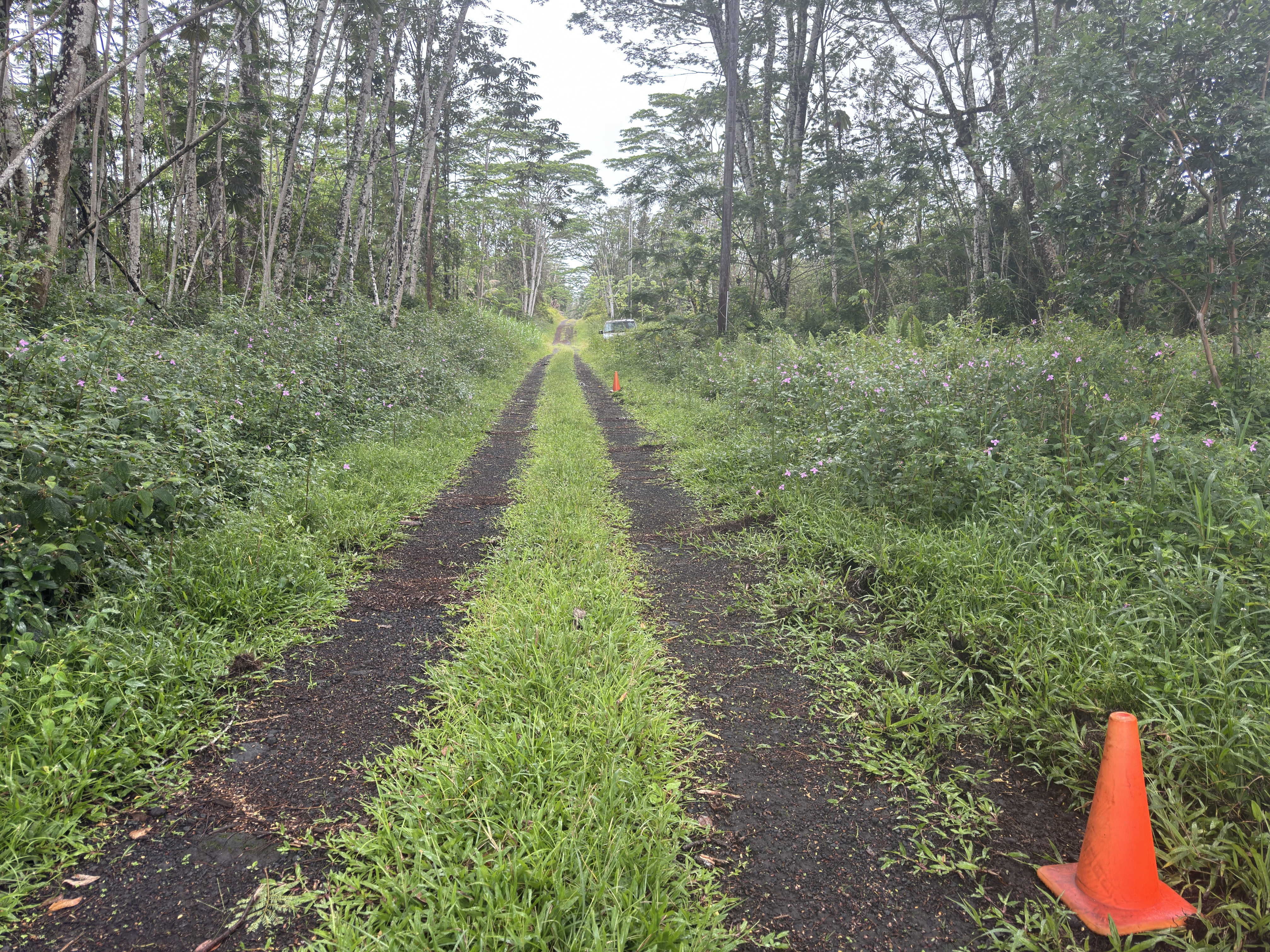 Pahoa Circle Property Photo 10