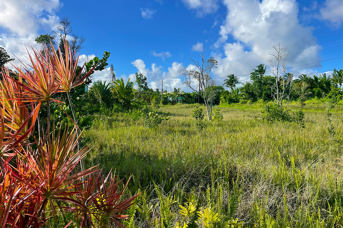 Kapohanalu St Property Photo 1