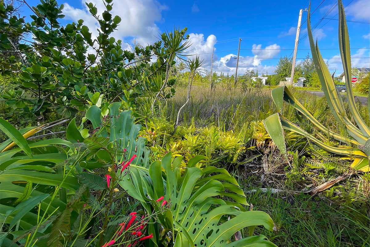 Kapohanalu St Property Photo 2
