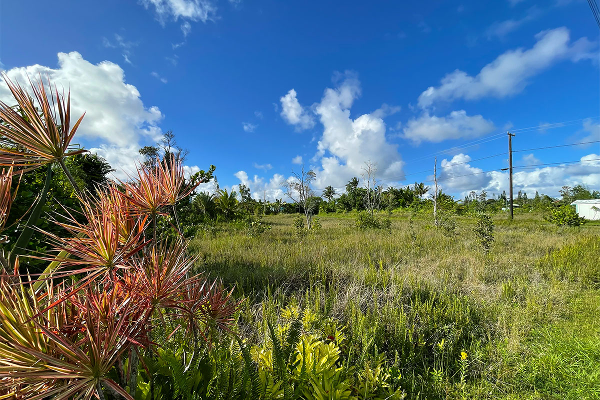 Kapohanalu St Property Photo 3