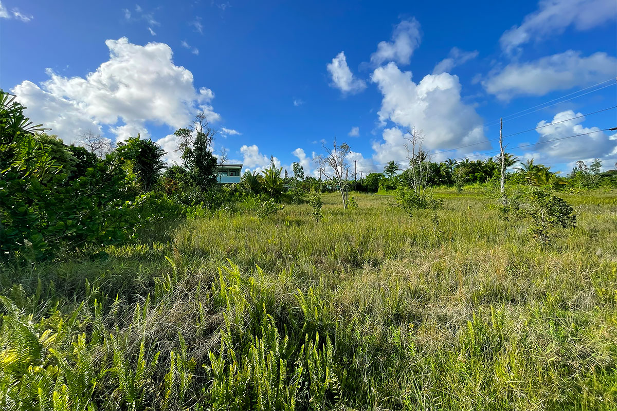 Kapohanalu St Property Photo 4