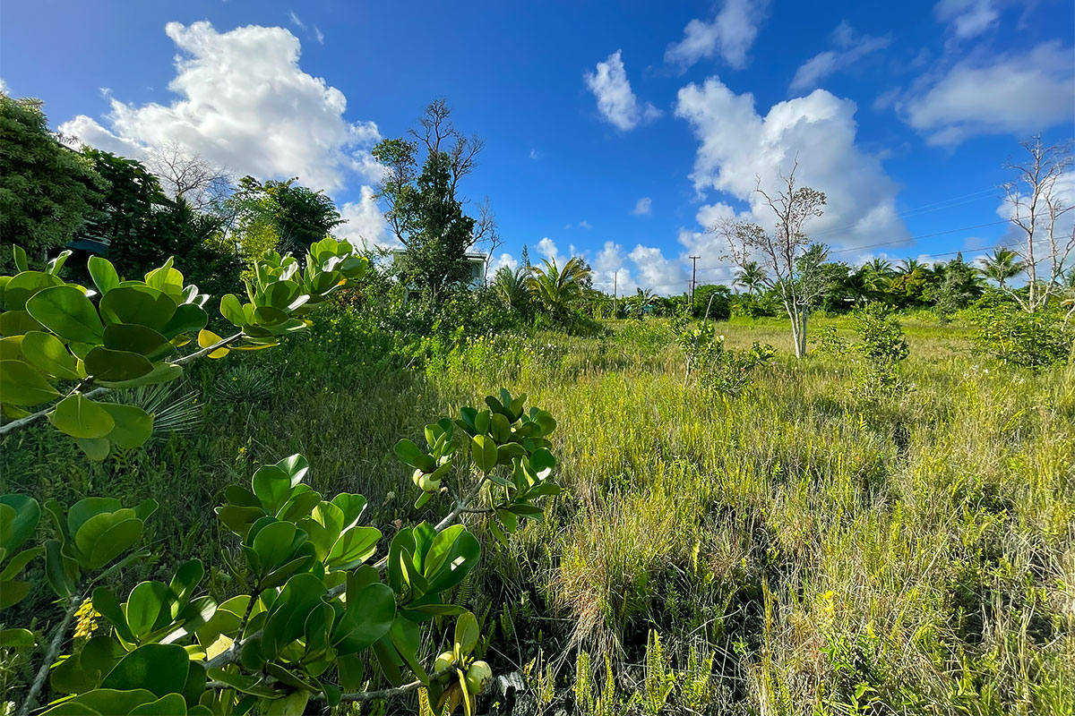 Kapohanalu St Property Photo 10