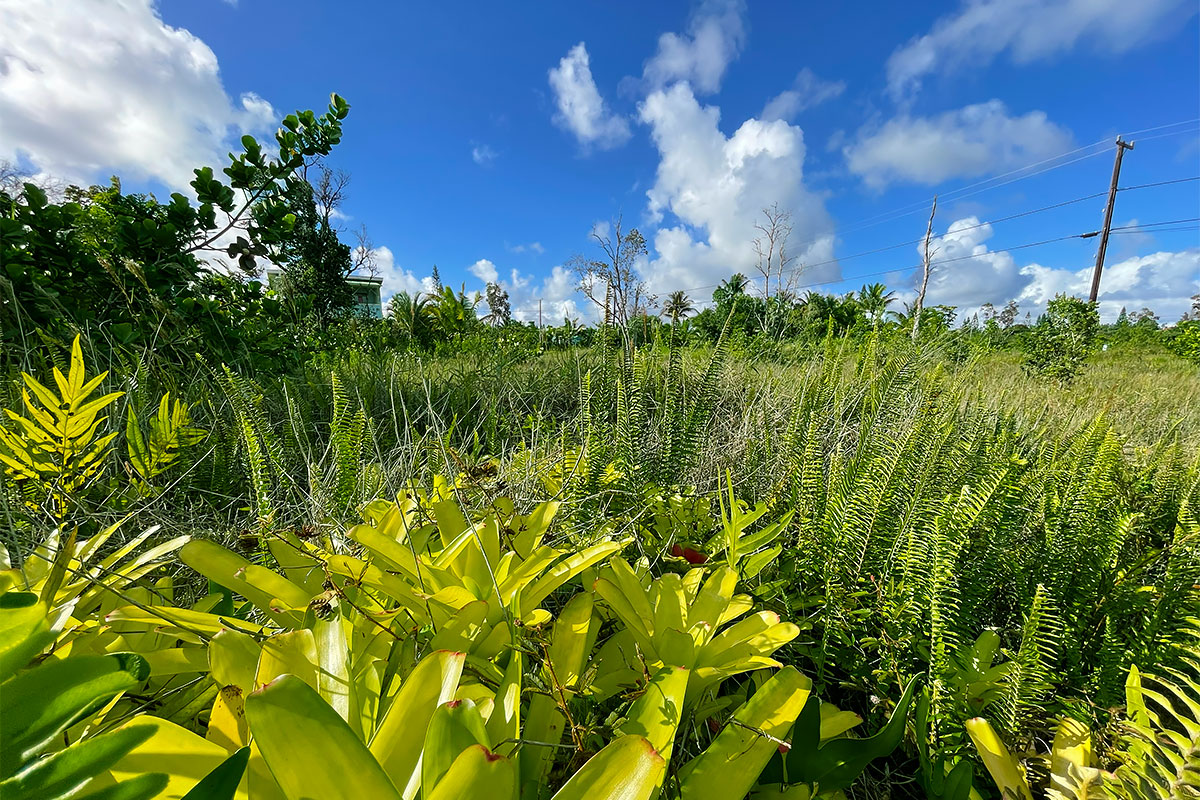 Kapohanalu St Property Photo 11