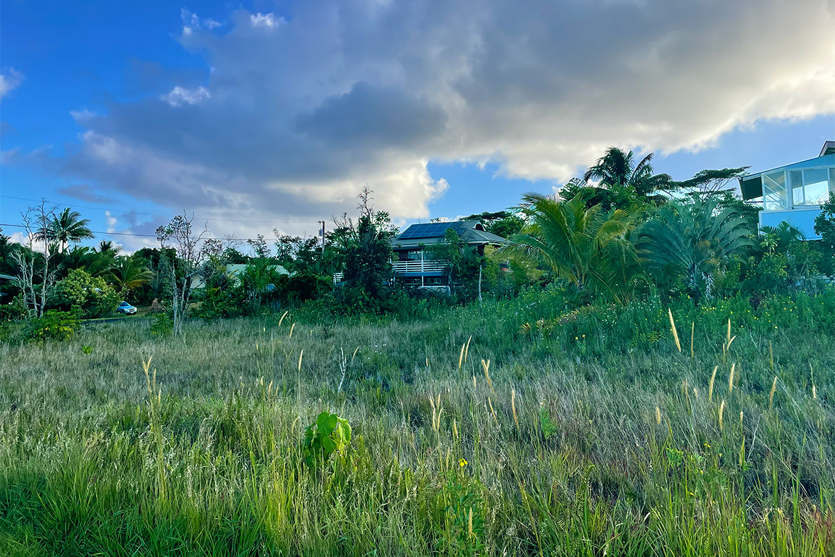 Kapohanalu St Property Photo 19