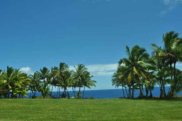 Kapohanalu St Property Photo 26