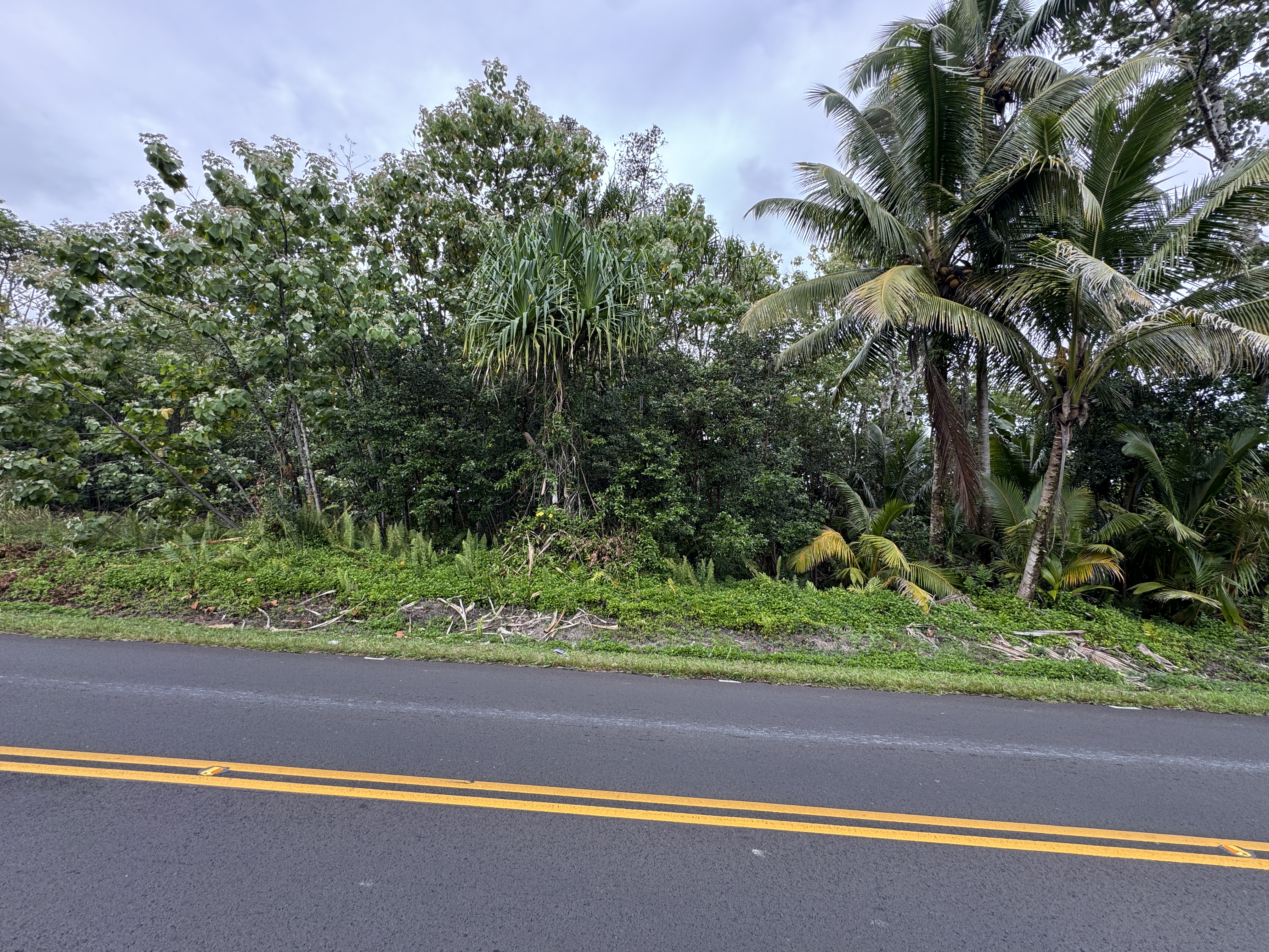 Kahakai Blvd Property Photo 1