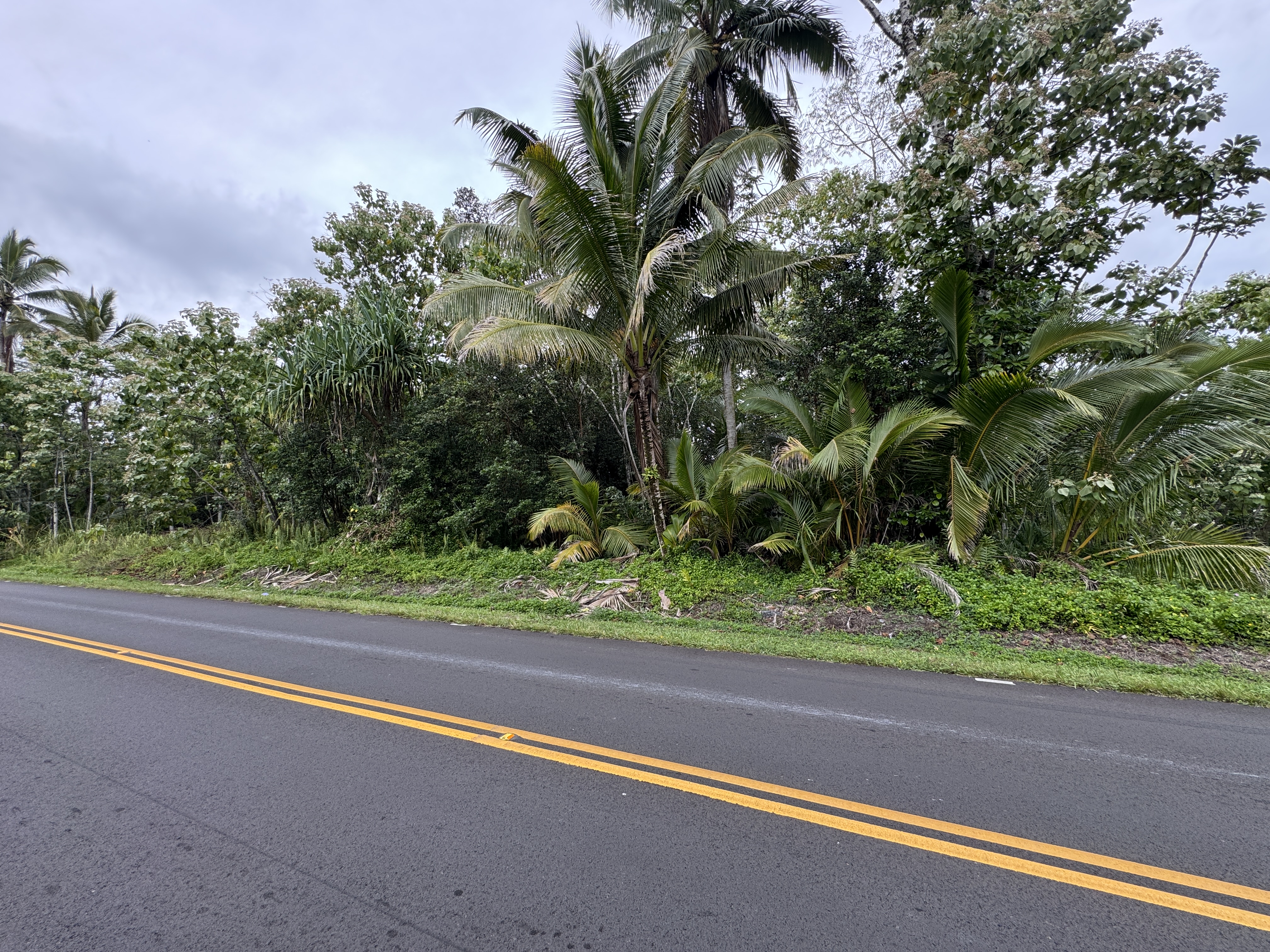 Kahakai Blvd Property Photo 2