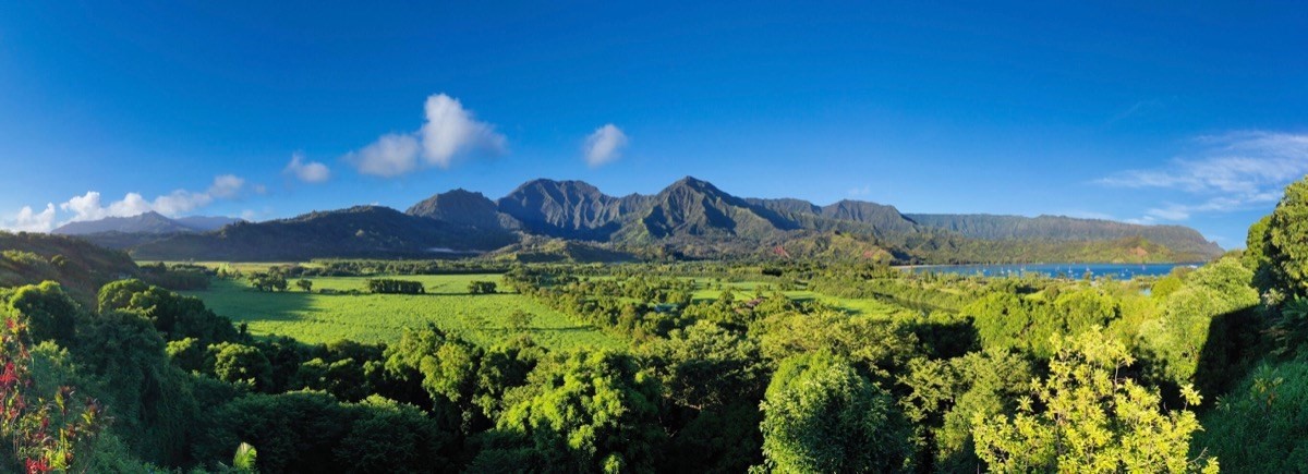 5181 Hanalei Plantation Rd Property Photo 10