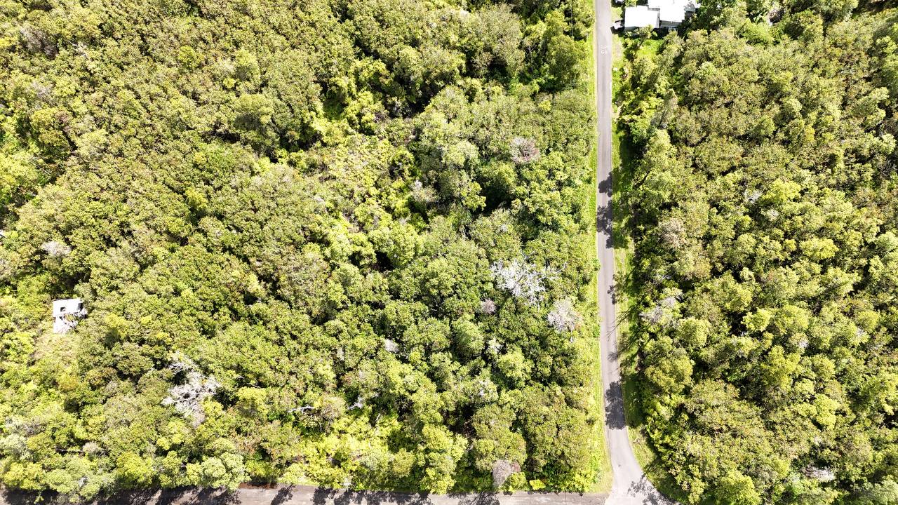 Puna Wai Ave Property Photo 3