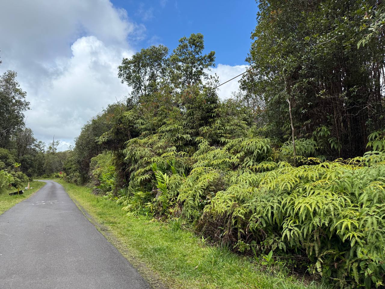 Puna Wai Ave Property Photo 4