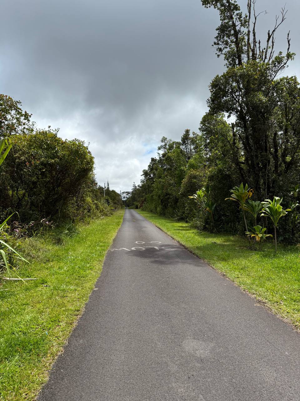 Puna Wai Ave Property Photo 5