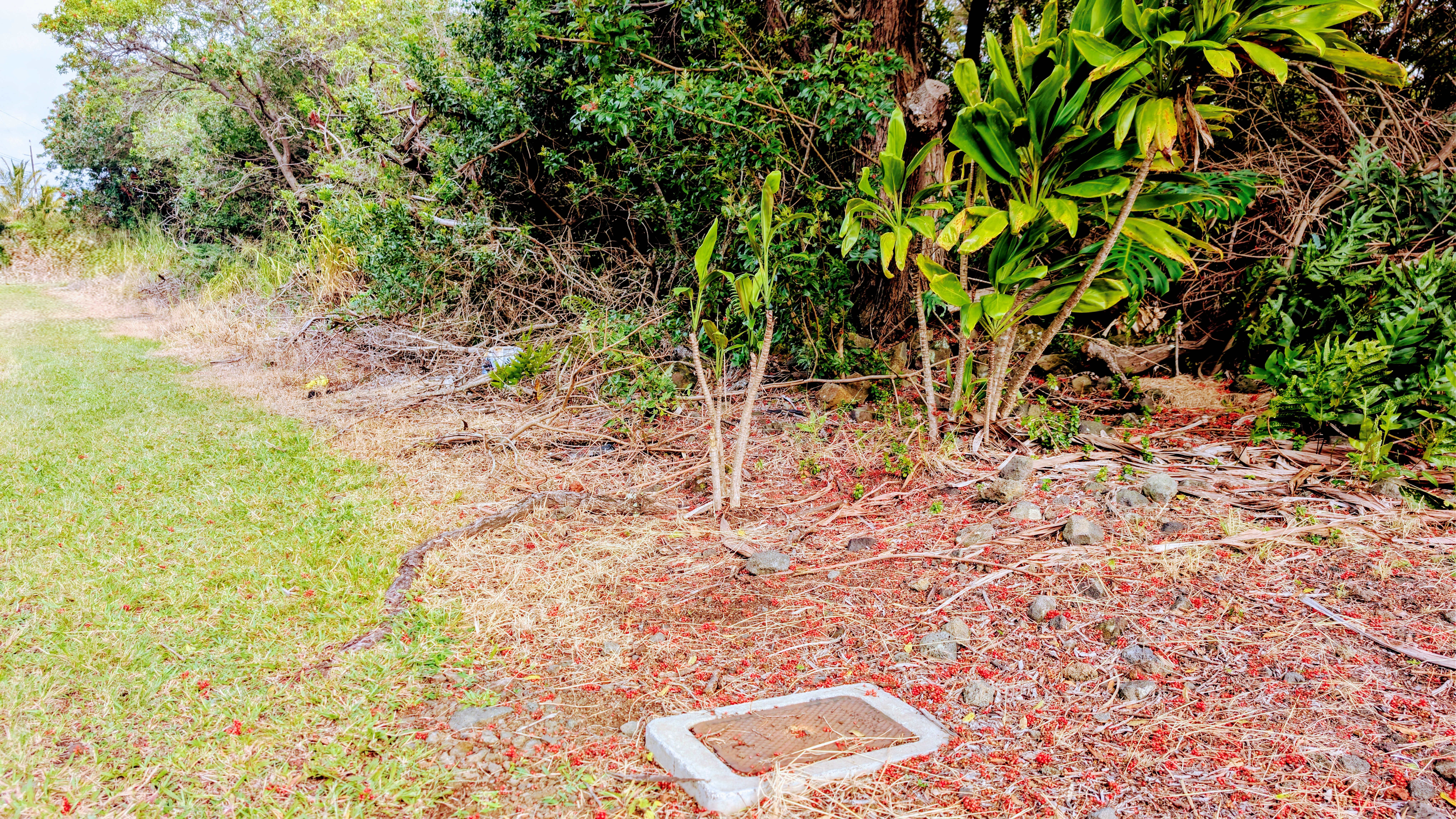 94-6579 Kamaoa Rd Property Photo 1